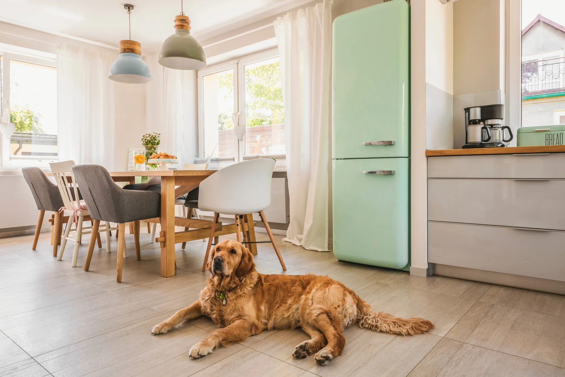 A bright kitchen features a retro mint green refrigerator, a wooden dining table, and a golden retriever lying on the grey tiled floor.