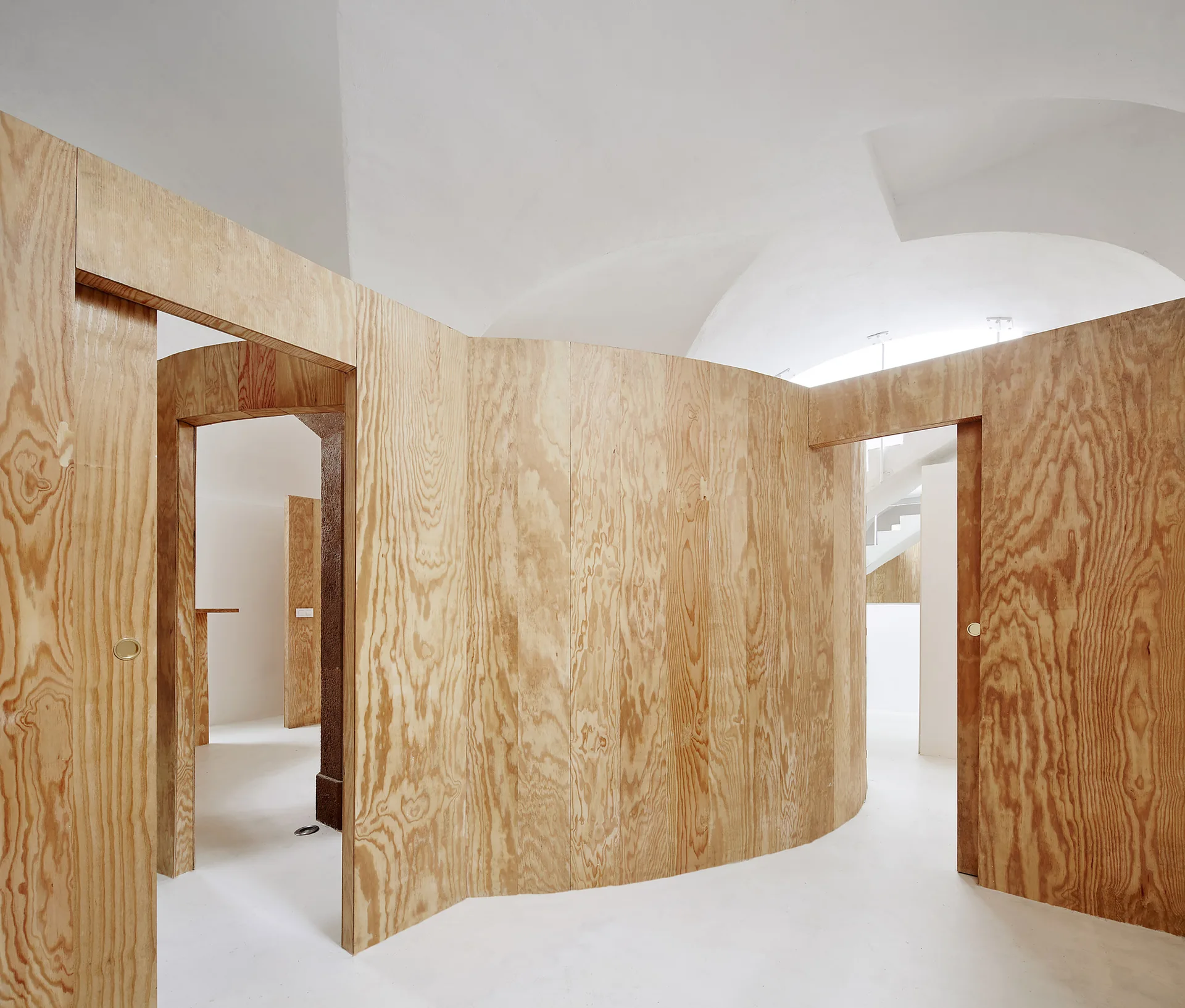 Curved plywood partition walls with natural wood grain stand on a seamless white floor beneath a white vaulted ceiling.
