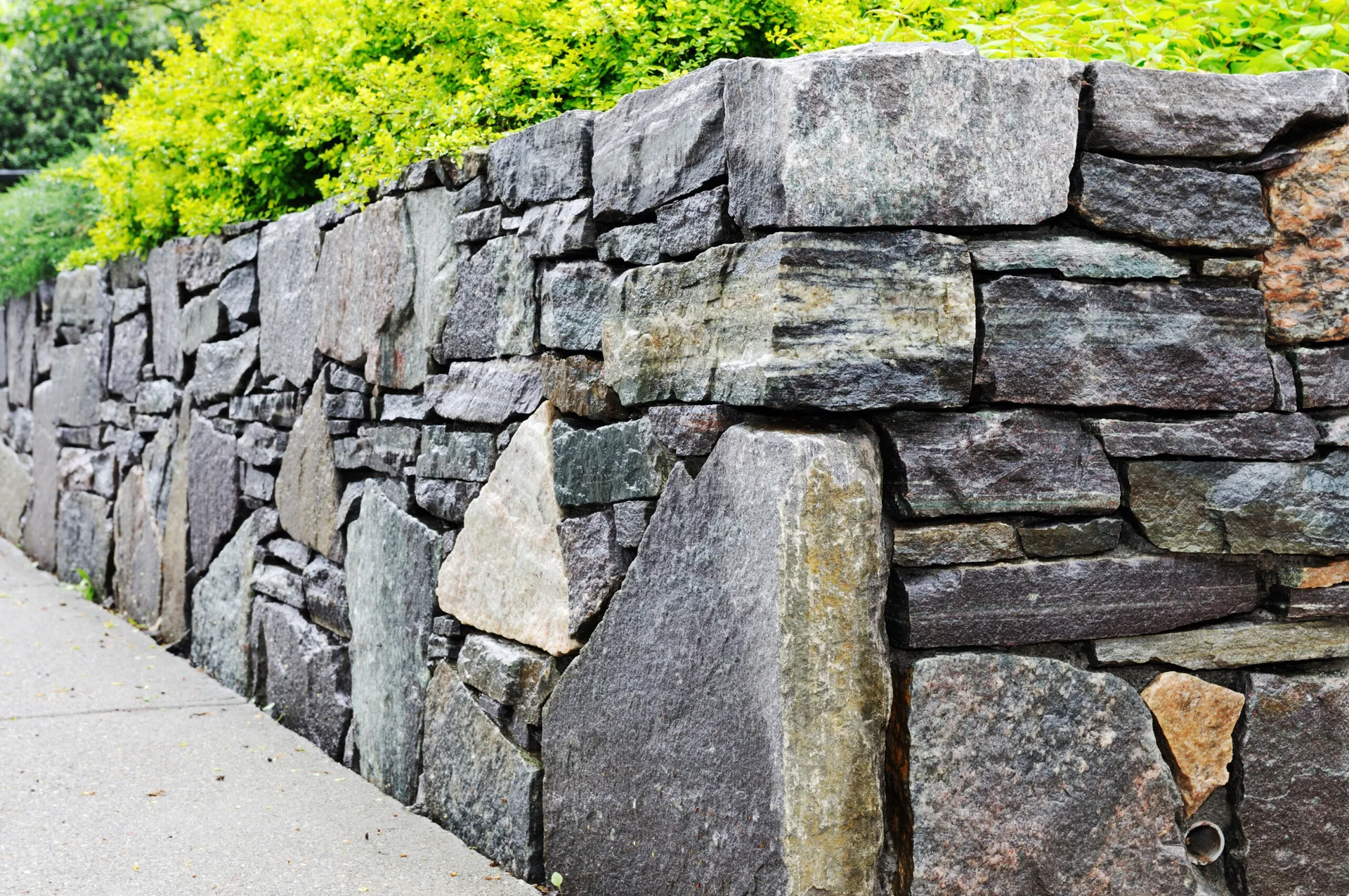 A dry-stacked grey stone retaining wall borders a concrete sidewalk, with bright green shrubs growing along the top edge.