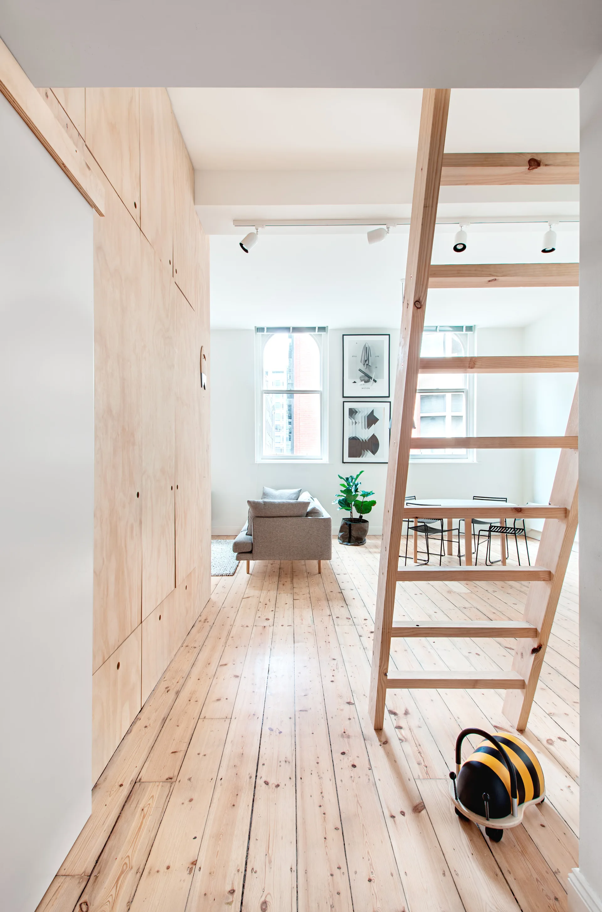An open-plan living room features a wooden loft ladder, a full-height plywood storage cabinet, a grey sofa, and light wood flooring.