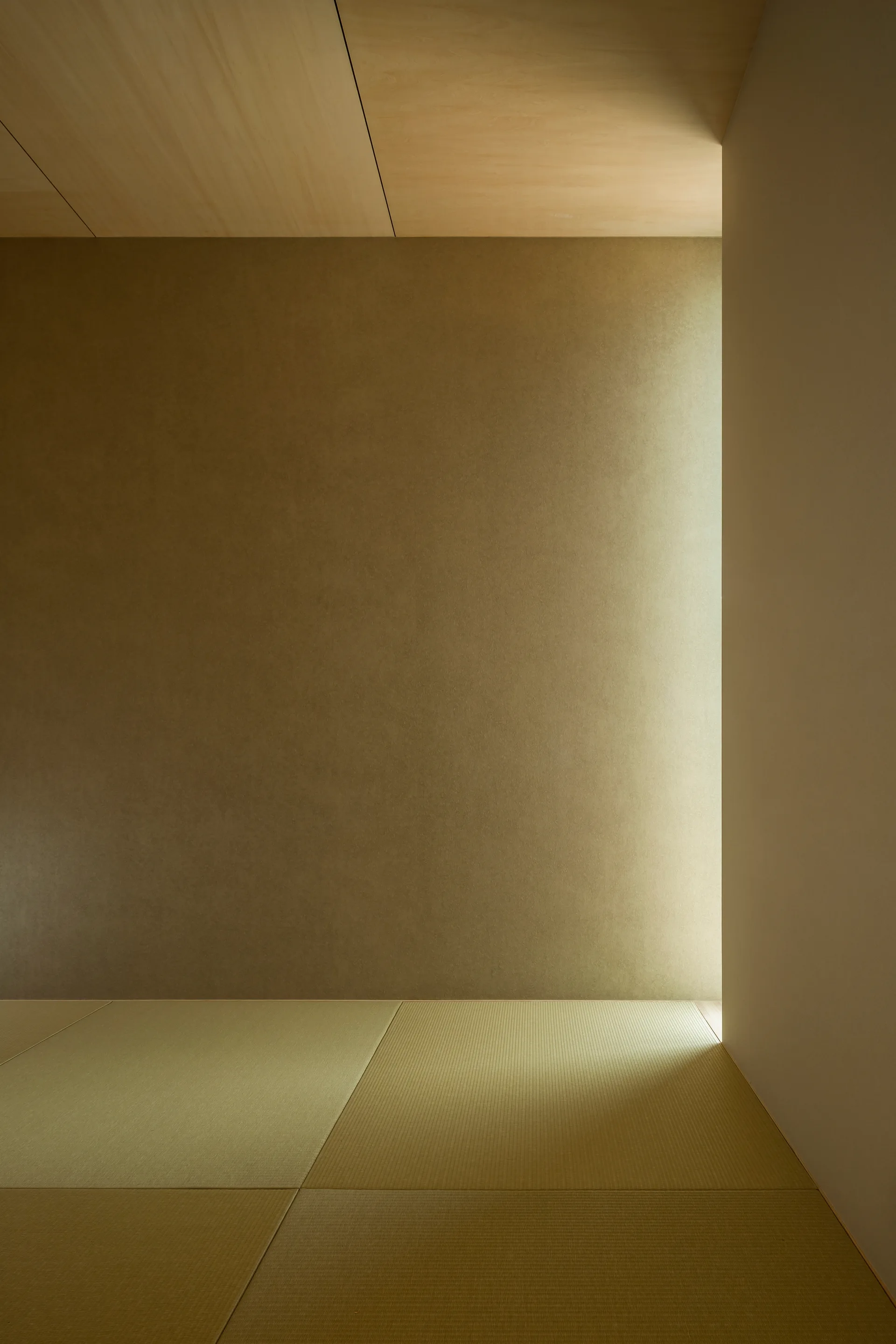 A minimalist interior corner featuring woven tatami floor mats, smooth matte olive walls, and a light wood paneled ceiling.