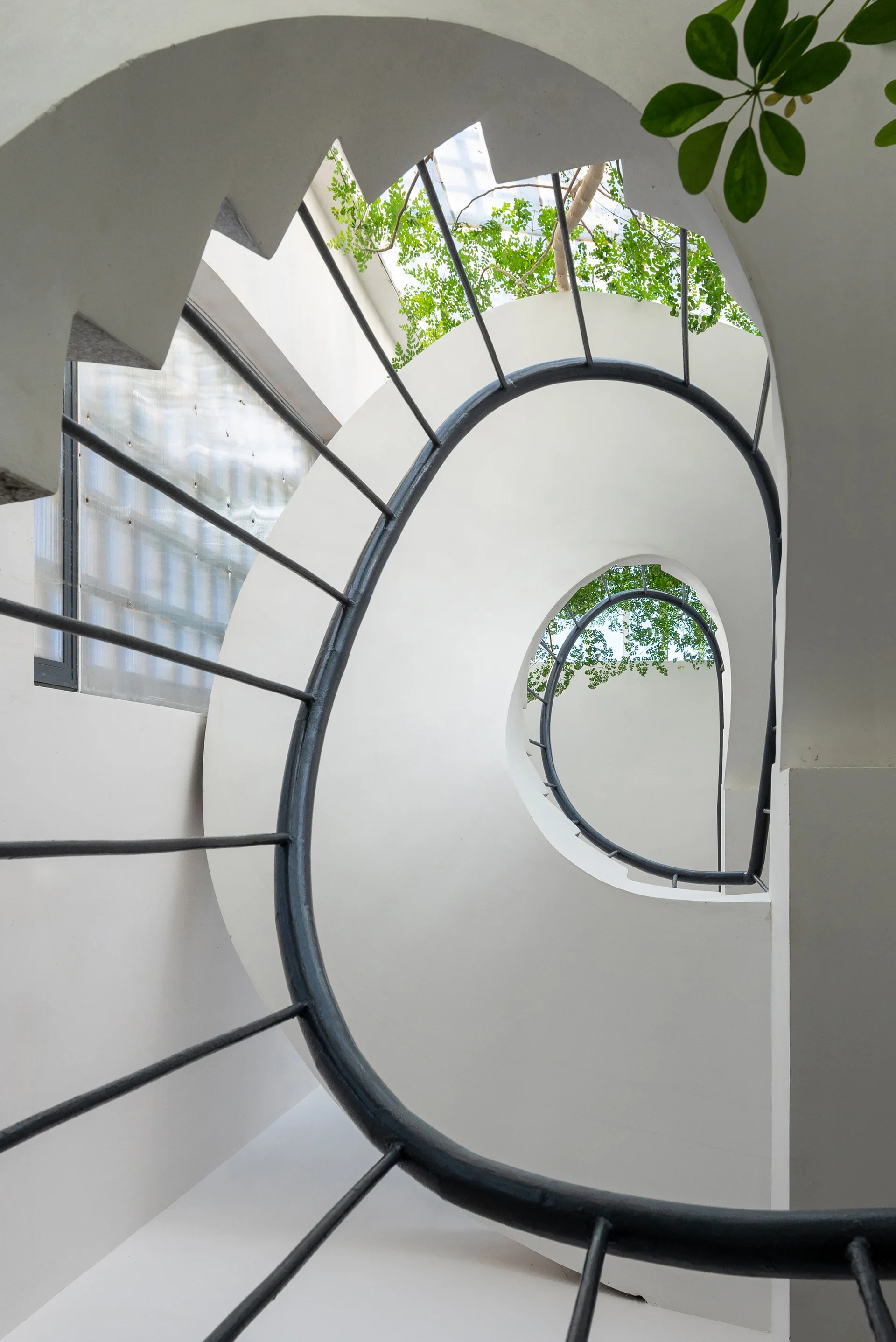 Looking up a modern white plaster spiral staircase with a curved black metal handrail toward a sunny skylight.