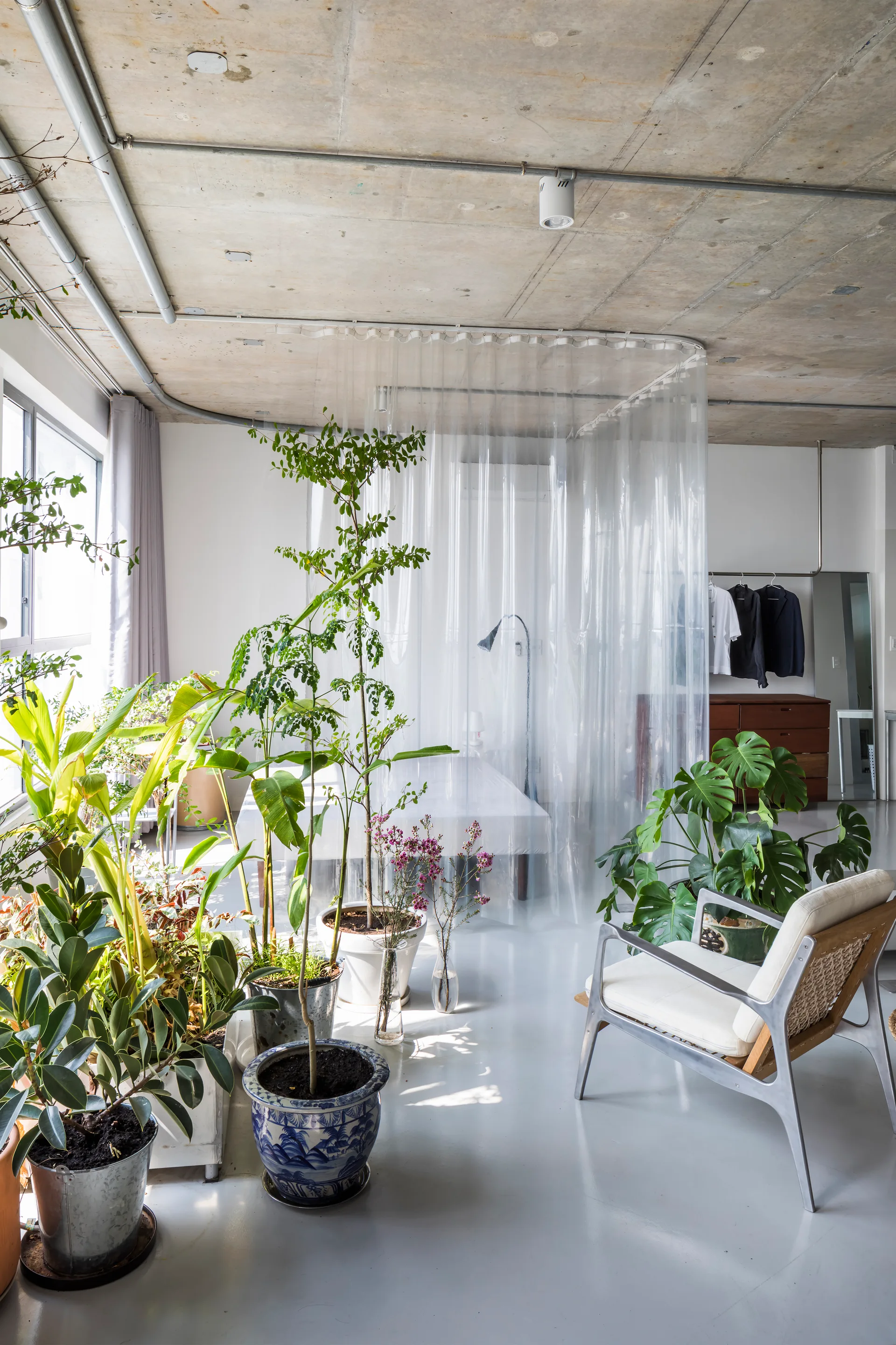 An industrial bedroom features a raw concrete ceiling, a transparent plastic curtain enclosing a bed, a white armchair, and numerous leafy potted plants.