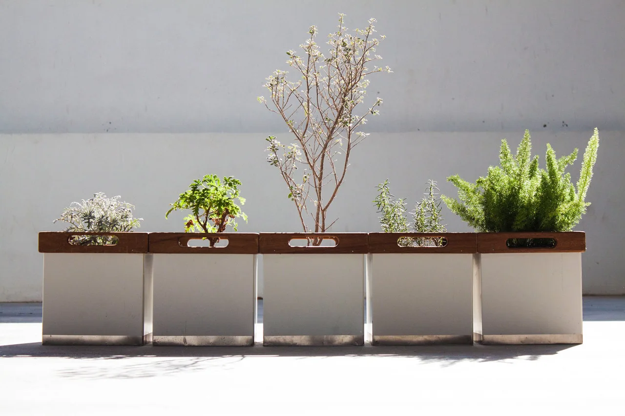 Five white modular box planters with wood tops and metal bases holding various green plants lined up against a plain white wall.