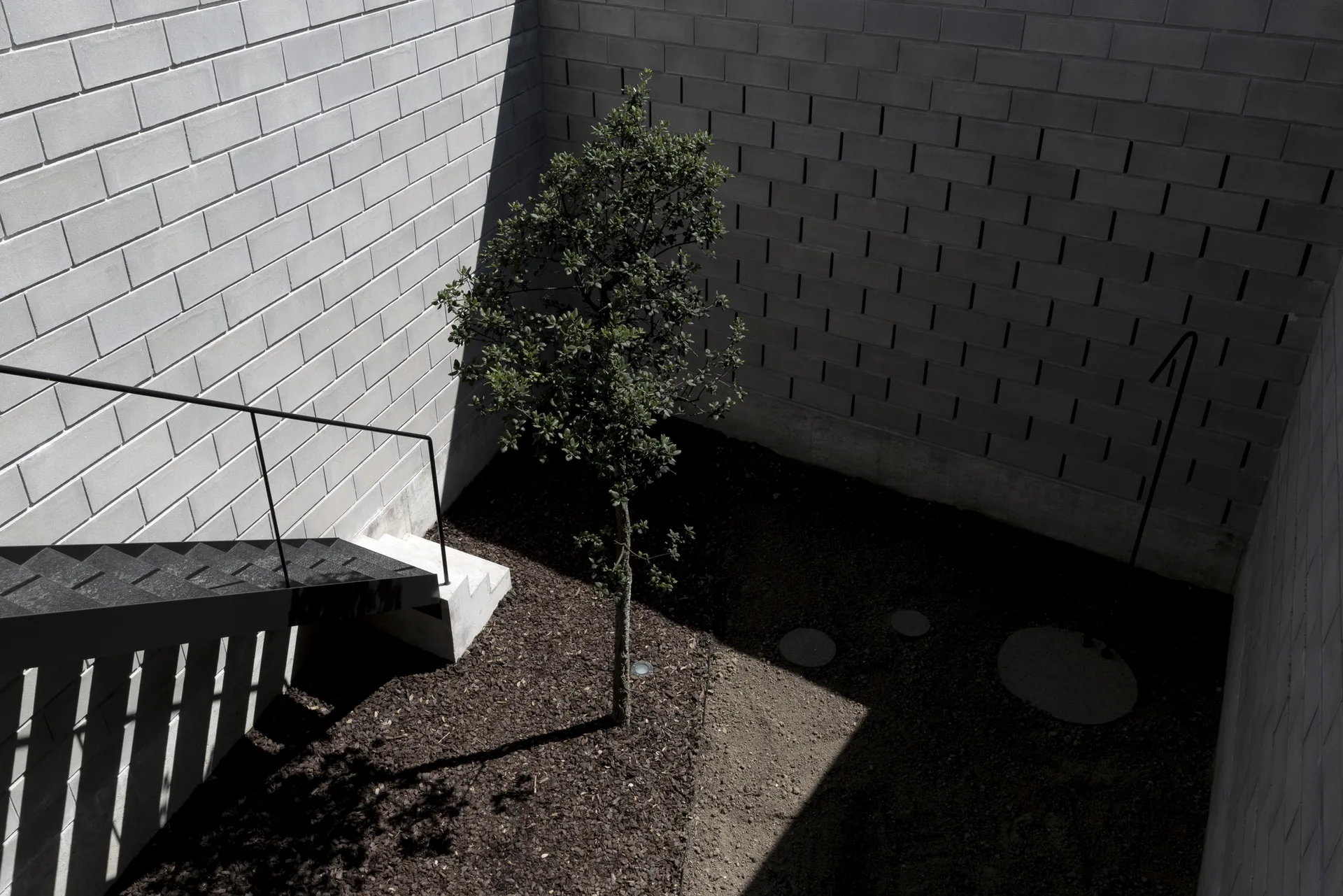 A sunken courtyard features tall light gray concrete block walls, a central small tree, and a black metal staircase descending to a mulched ground.