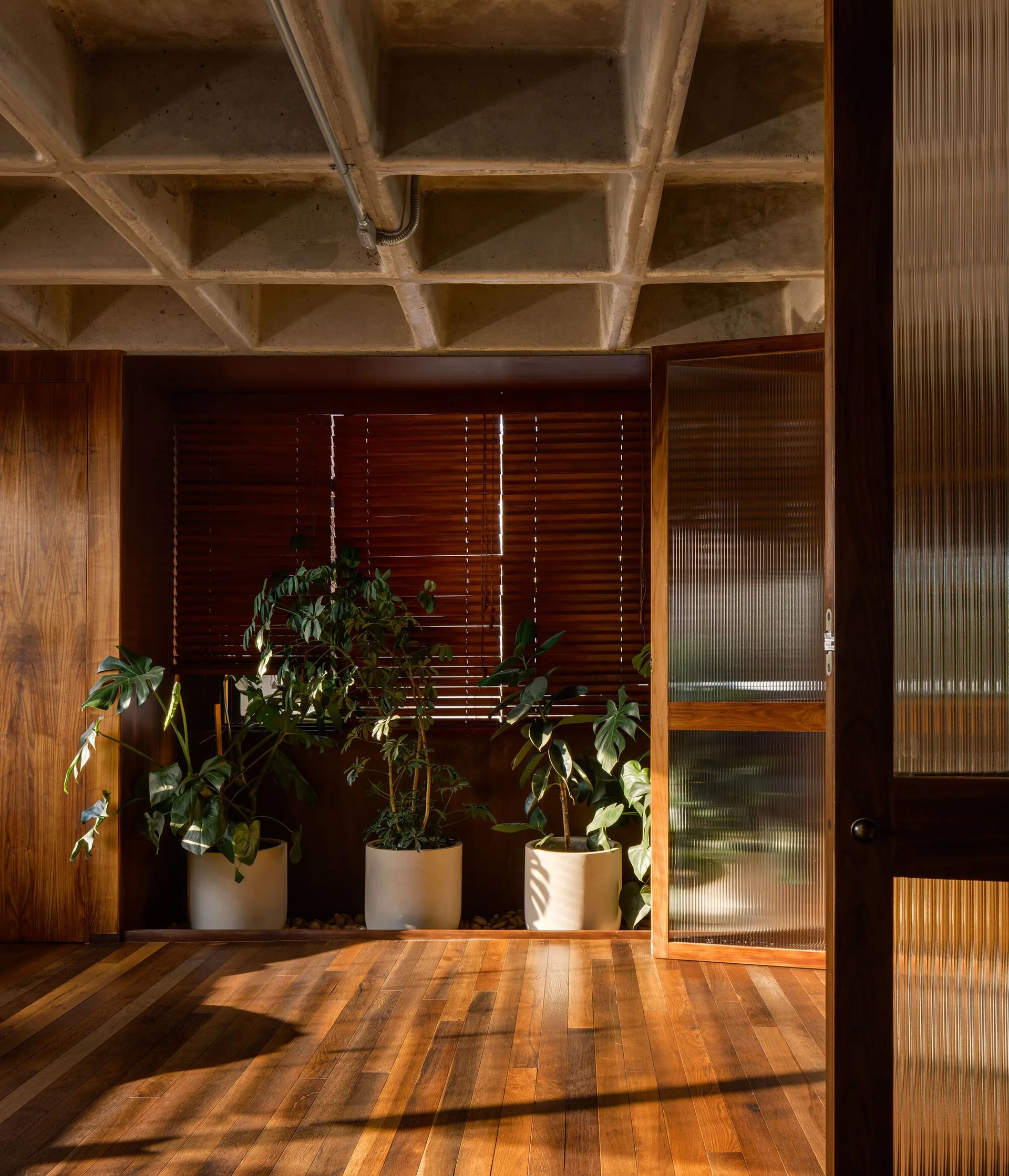 An interior space with an exposed concrete waffle ceiling, wood-paneled walls, wooden floors, a ribbed glass door, and three potted plants.