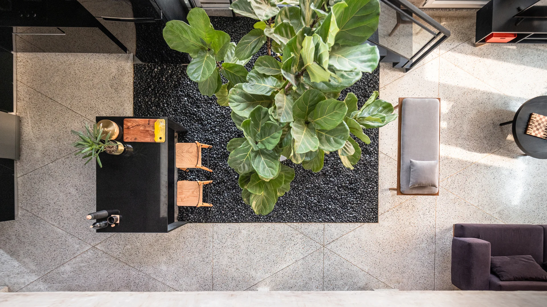 Overhead view of an open-plan living space featuring a large fiddle leaf fig tree in a recessed black pebble bed surrounded by light terrazzo tiles.