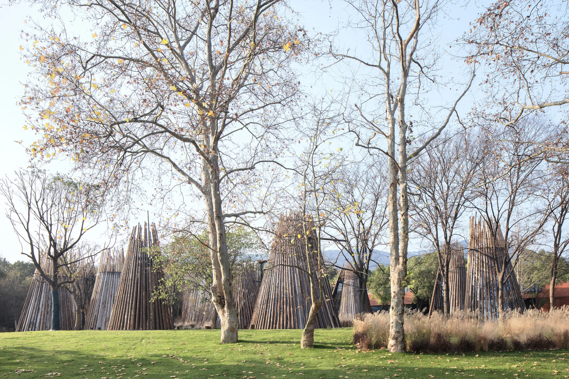 Several tall conical structures made of vertical wooden poles stand on a green lawn surrounded by bare trees.