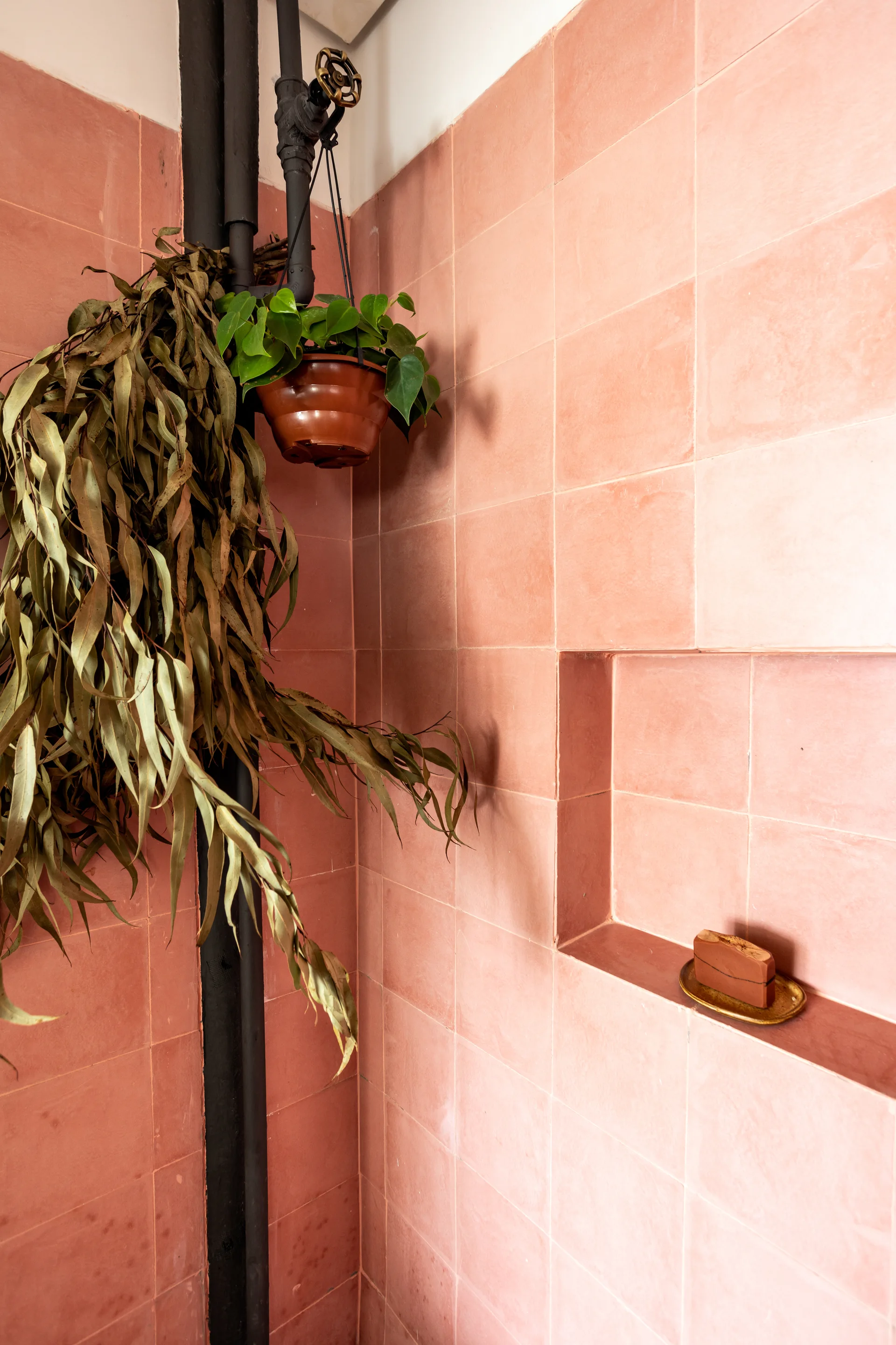 A pink tiled shower wall featuring a recessed square niche with a bar of soap and an exposed pipe with a hanging plant.