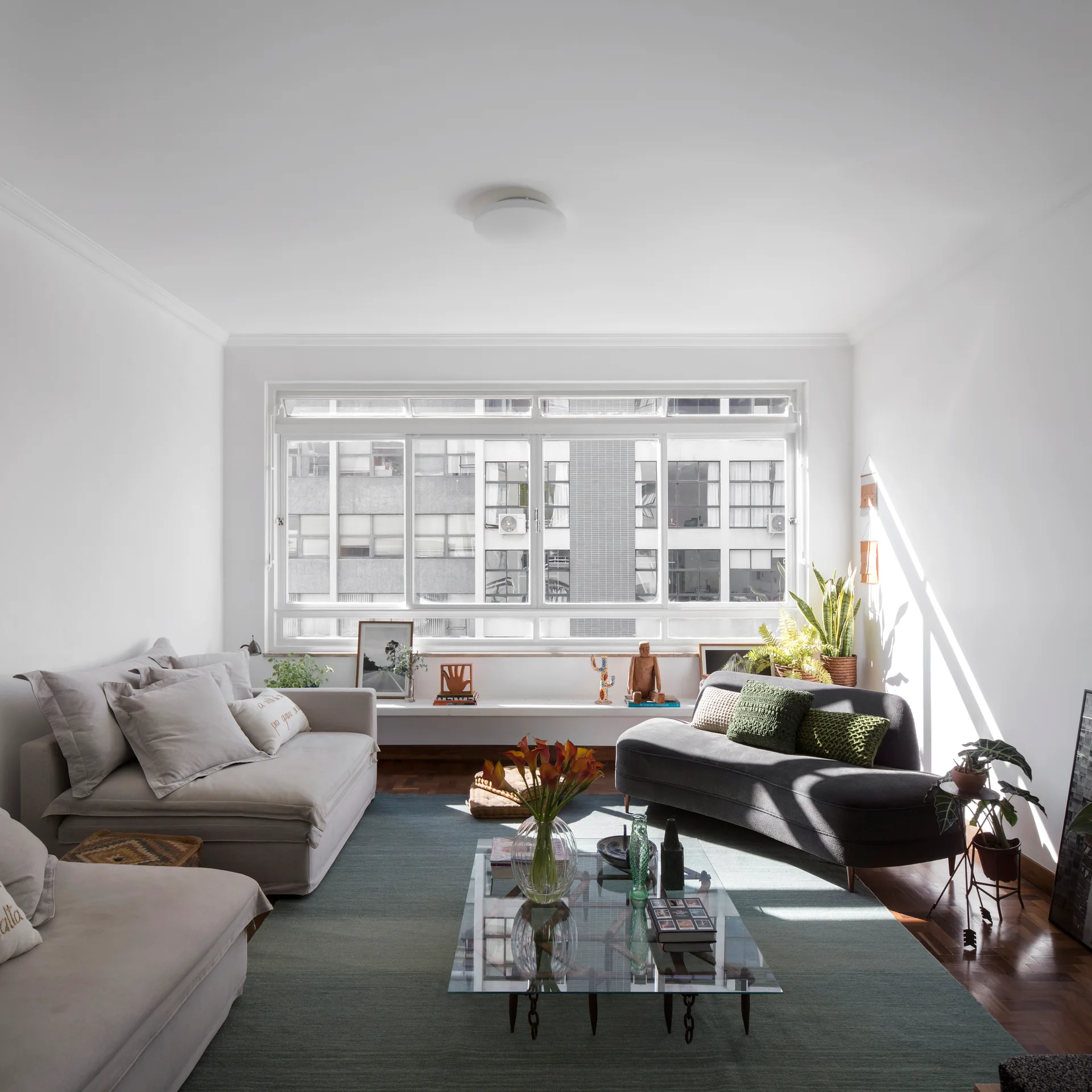 A sunlit living room featuring a curved dark grey sofa, a light beige sofa, a glass coffee table, and a wide windowsill display beneath a large window.