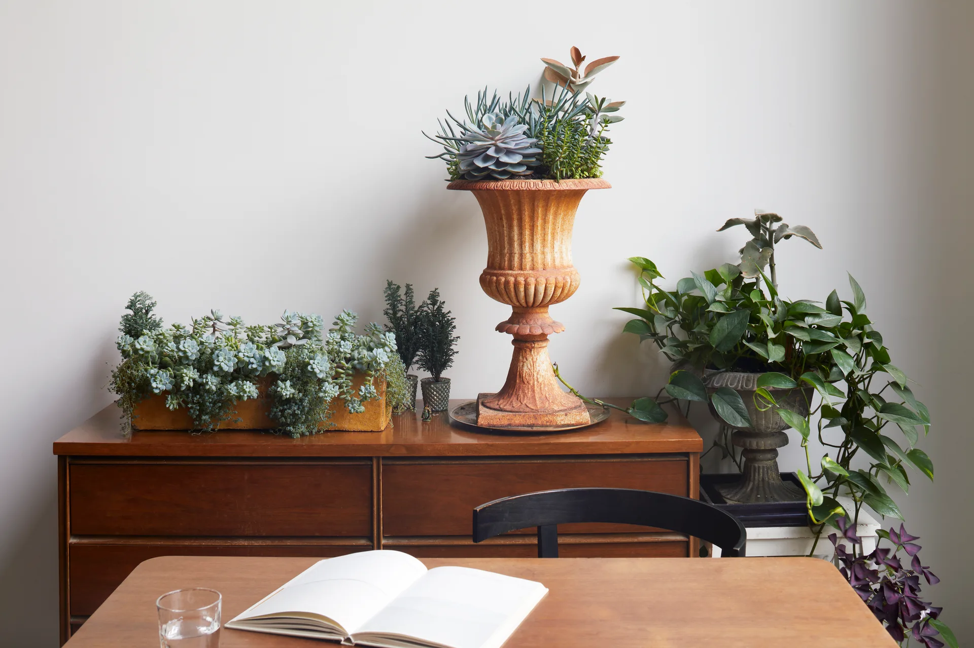 A mid-century wooden sideboard features a tall weathered terracotta urn filled with succulents and a rectangular planter with low-growing plants.