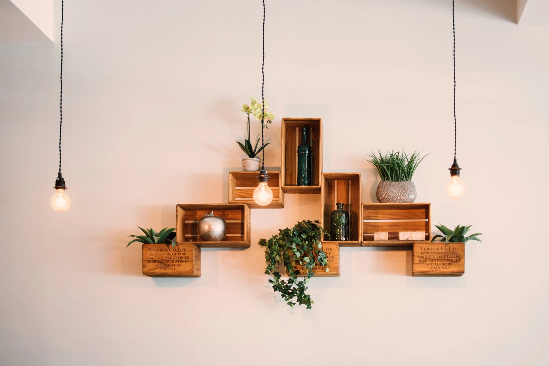 Staggered wooden crates function as wall shelves holding potted plants and glass bottles, flanked by hanging warm pendant light bulbs.