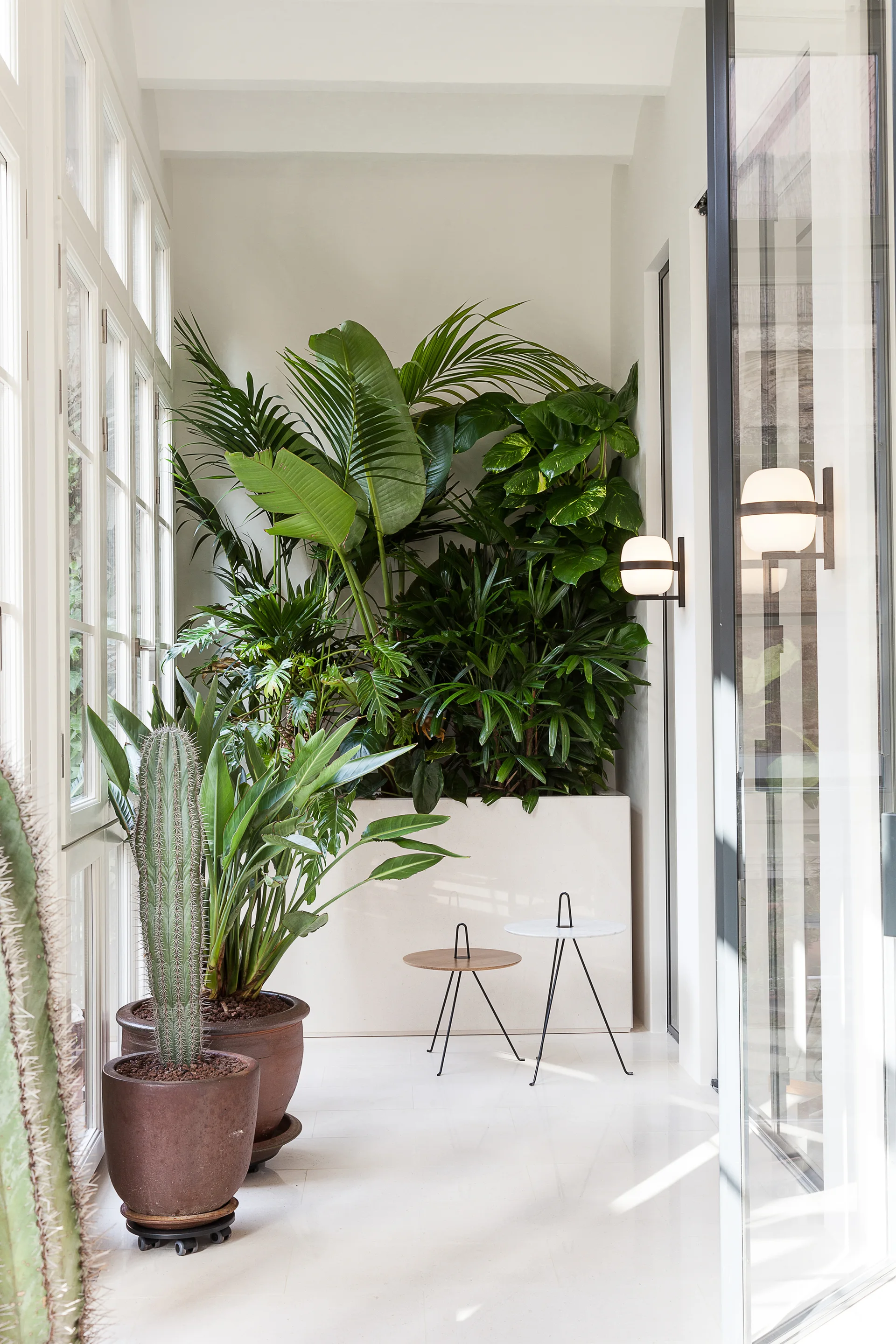 A bright white sunroom features a large built-in stone planter filled with tropical plants alongside two minimalist side tables and potted cacti.
