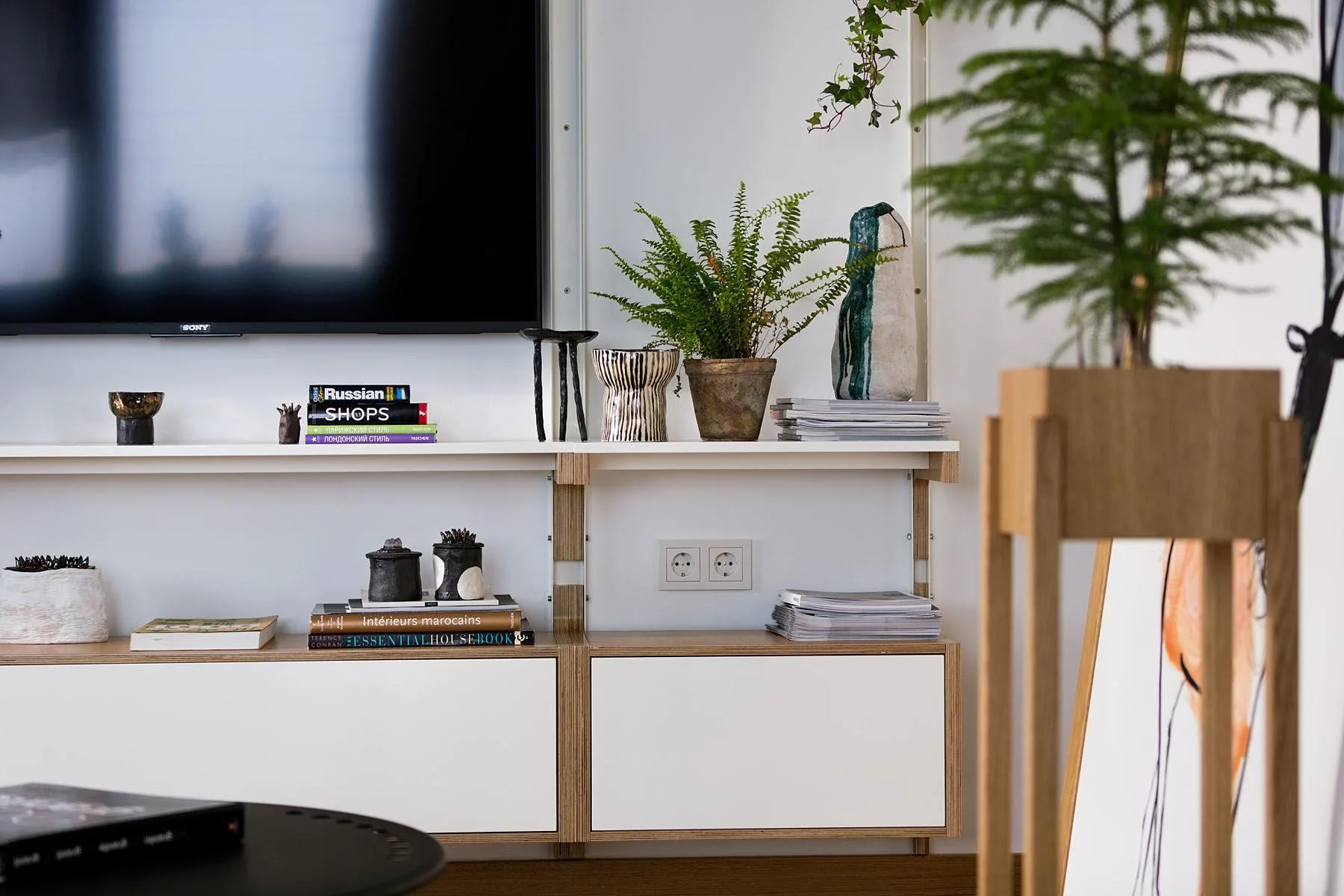 A modular wall-mounted shelving unit with white cabinet fronts, exposed plywood edges, a flat-screen TV, books, and green potted plants.