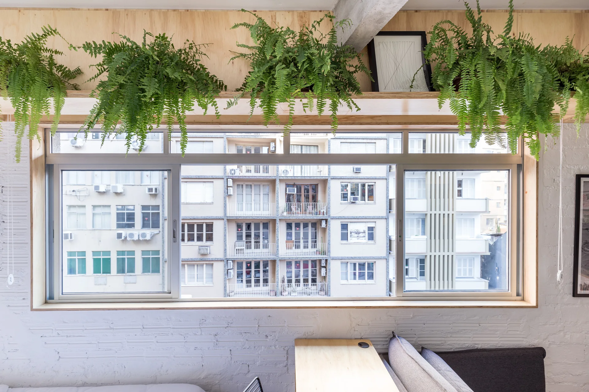 Lush green ferns sit on a light plywood shelf directly above a large window in a room with a white painted brick wall.