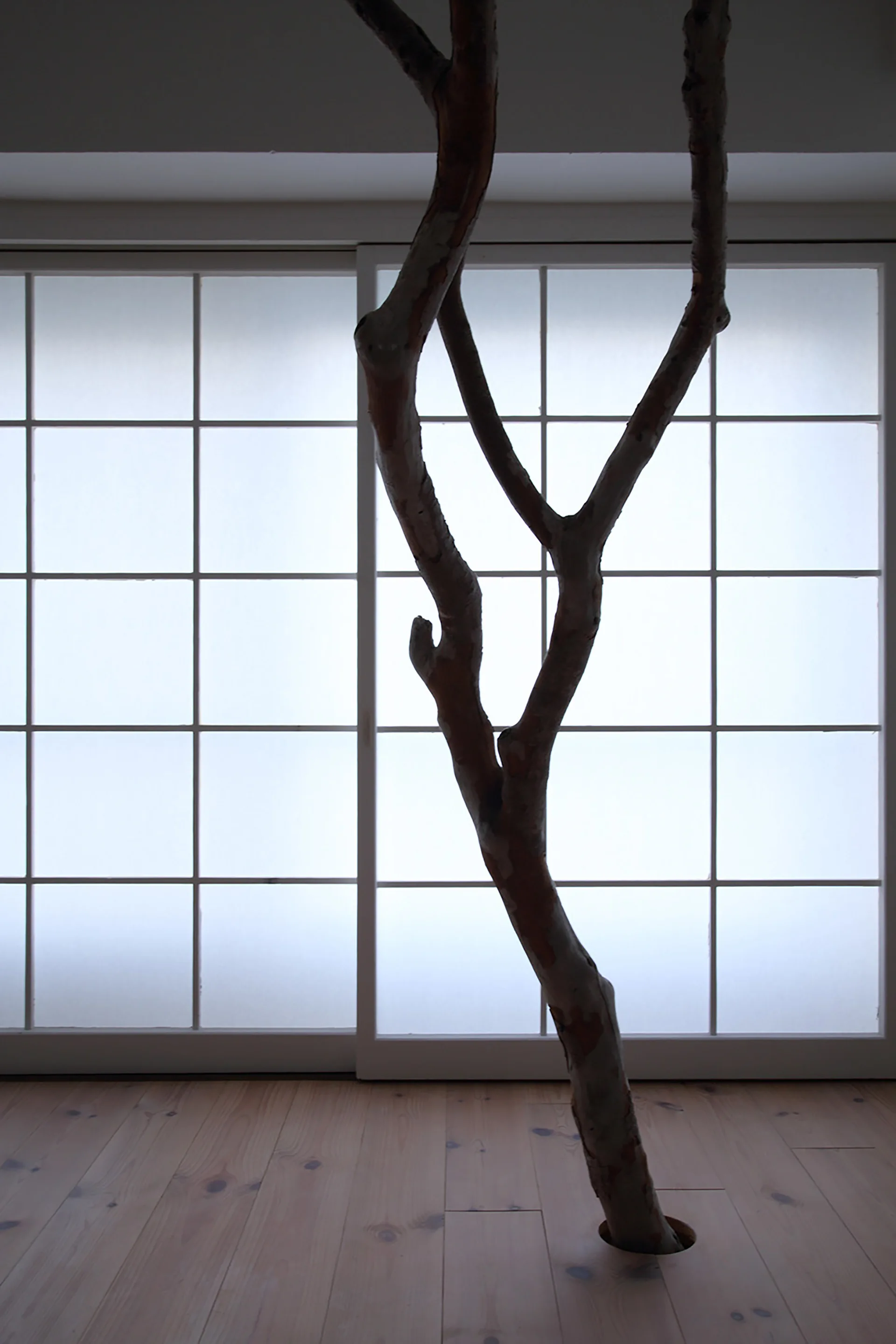 A tall bare tree branch rises from a circular cutout in light wood flooring against a white grid-patterned shoji screen.