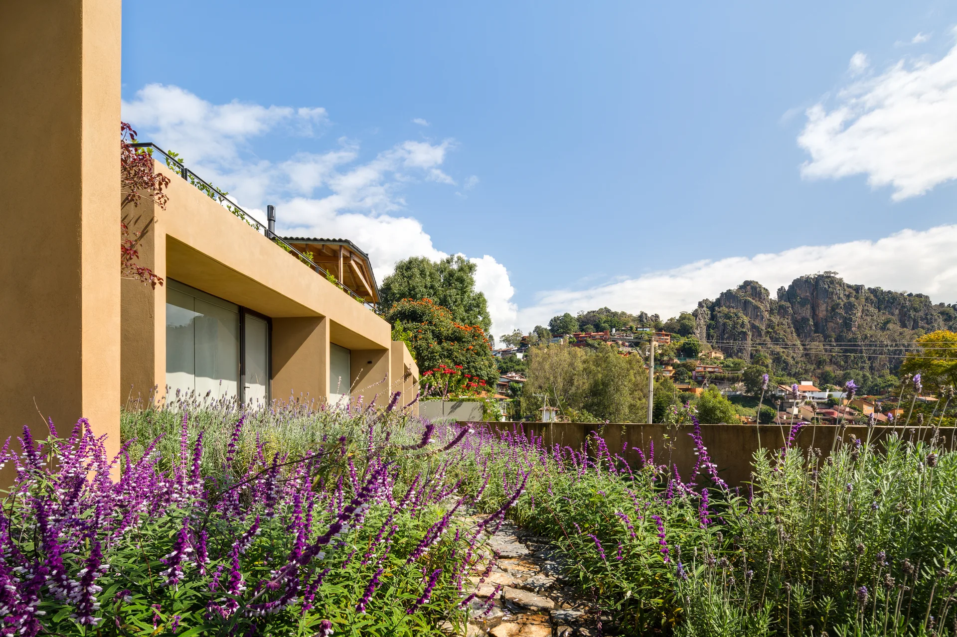 A modern tan stucco building next to a stone path winding through lush purple flowering plants, with mountains in the background under a blue sky.