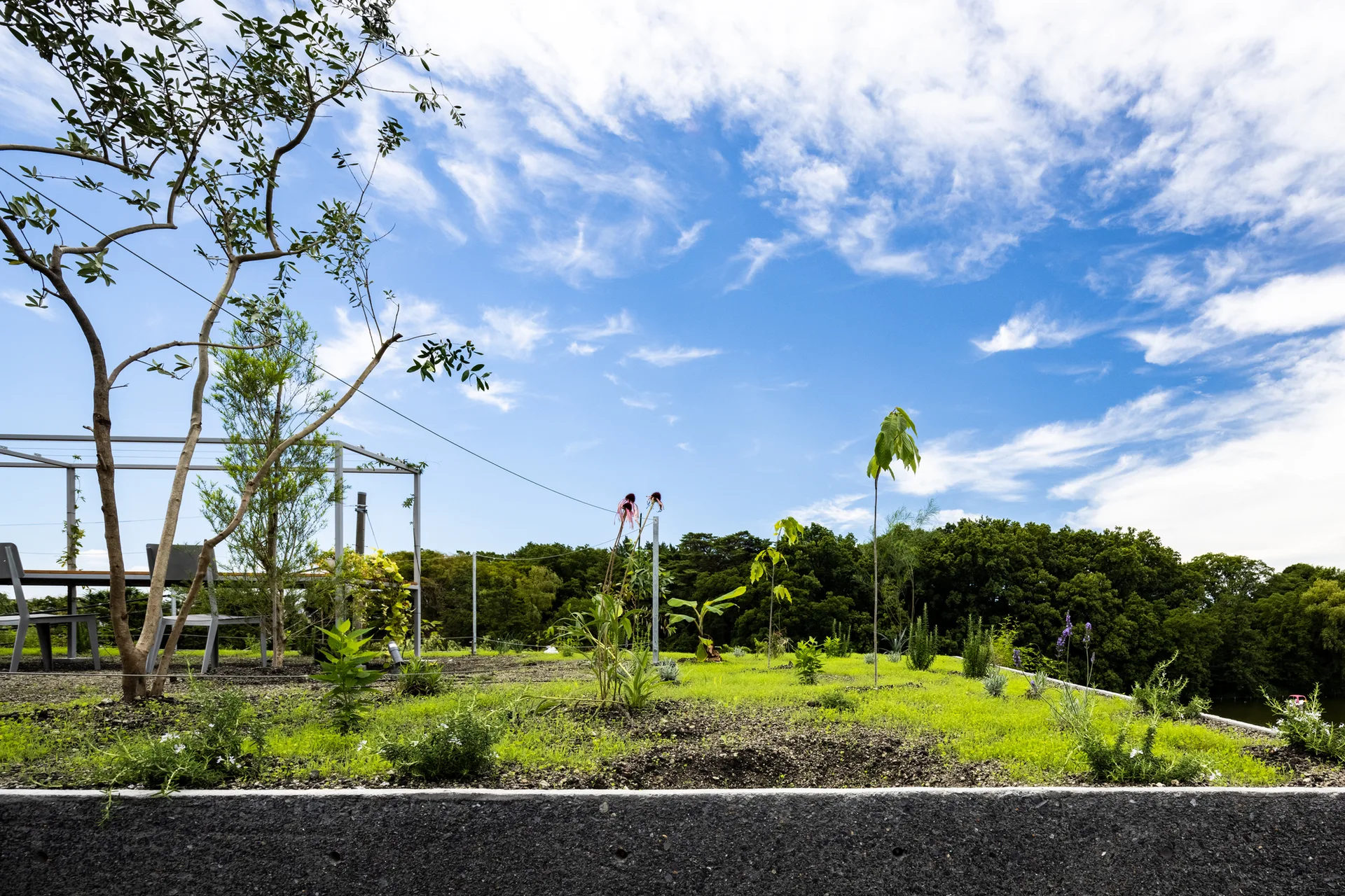 A minimalist metal pergola and seating area sit on a grassy rooftop garden terrace under a bright blue sky.