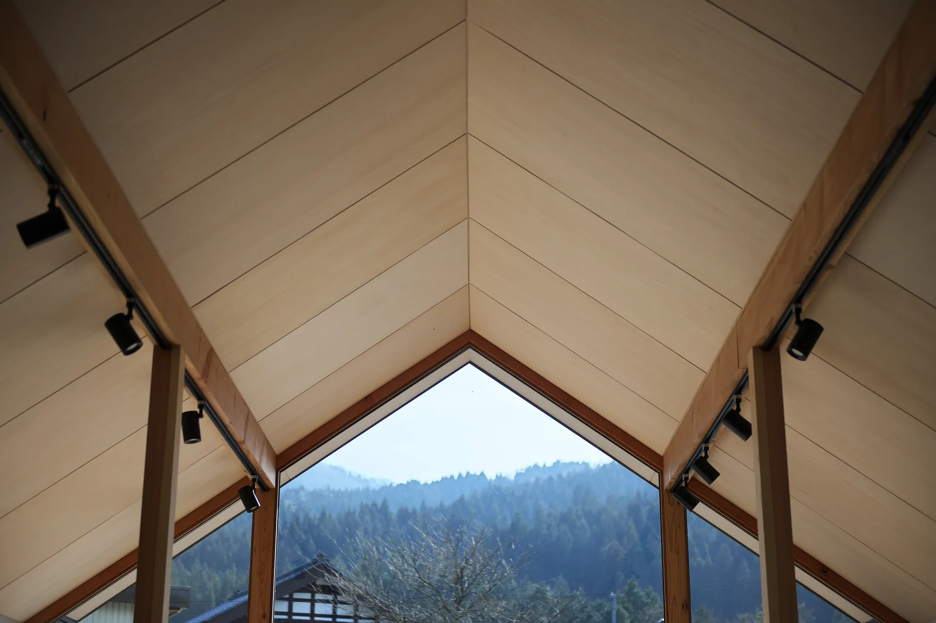 A light wood gabled ceiling with black track lighting and a large triangular window framing a green mountain forest.