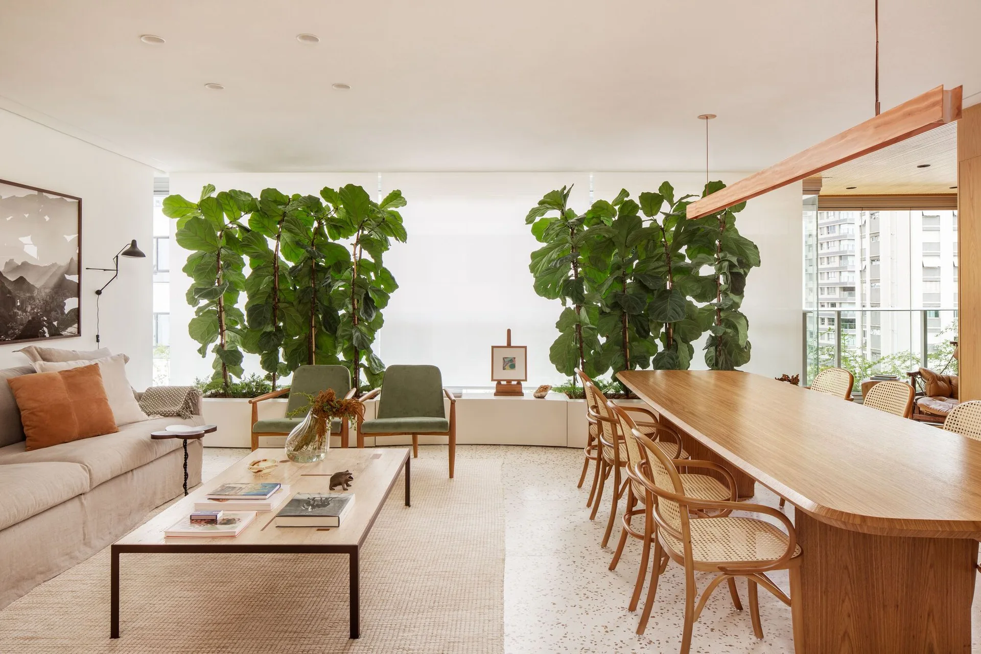 An open-plan living and dining area featuring a wooden dining table, caned chairs, and two large fiddle leaf fig trees in low white planters.