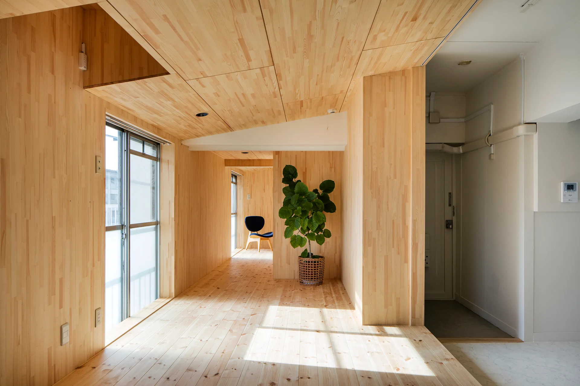 A minimalist room with continuous blonde wood paneling on the floor, walls, and ceiling, featuring a green potted plant and a blue chair.