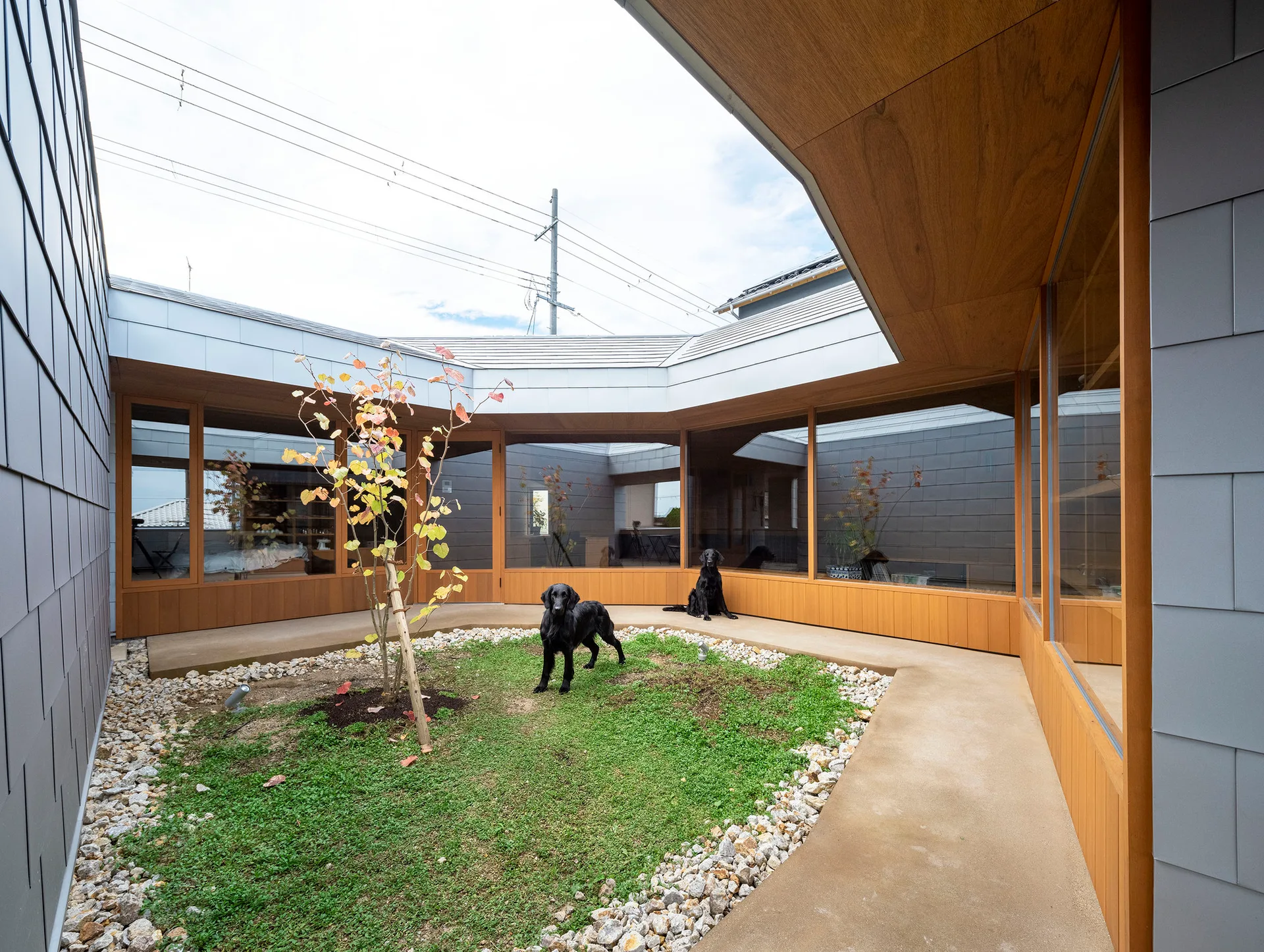 A modern central courtyard with a small green lawn, single tree, and concrete walkway, surrounded by glass walls and grey metal siding.