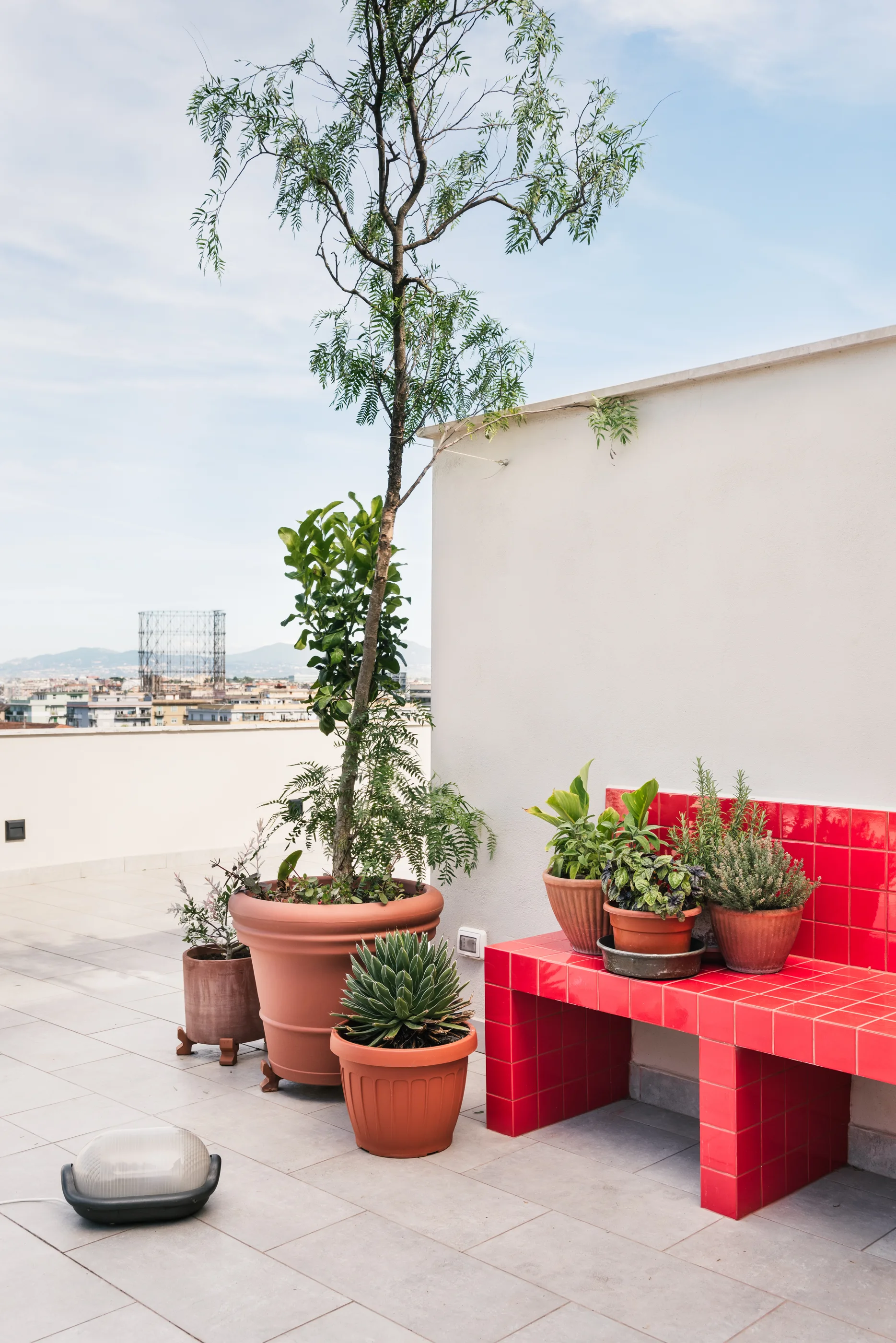 A rooftop terrace with gray floor tiles features a bright red tiled bench holding small plants next to large terracotta planters against a white wall.