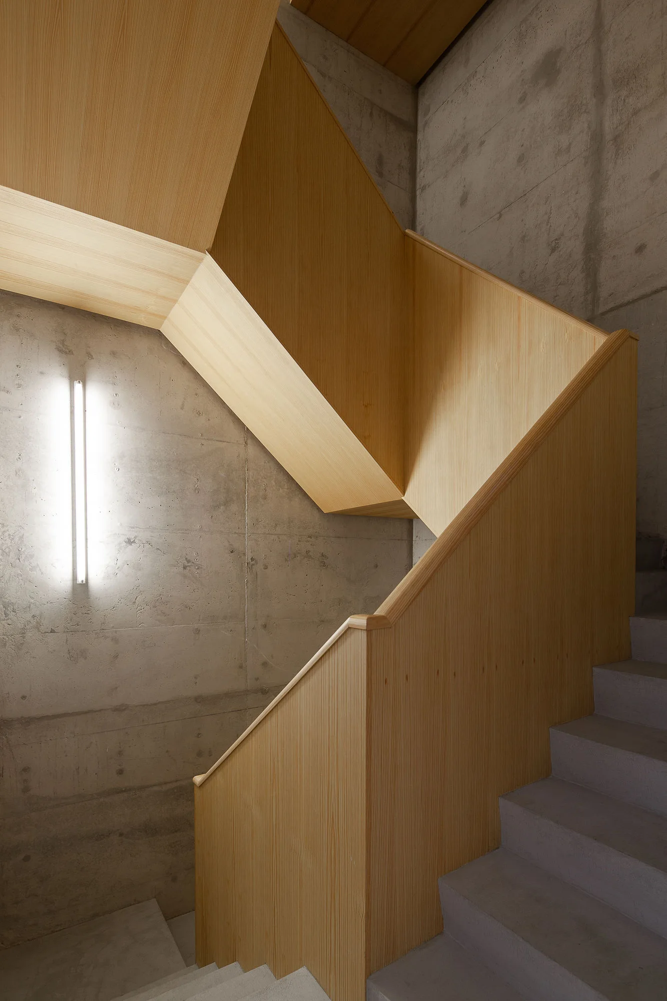 A minimalist staircase features light grey concrete steps set against raw concrete walls and encased in light-grained wood paneling.