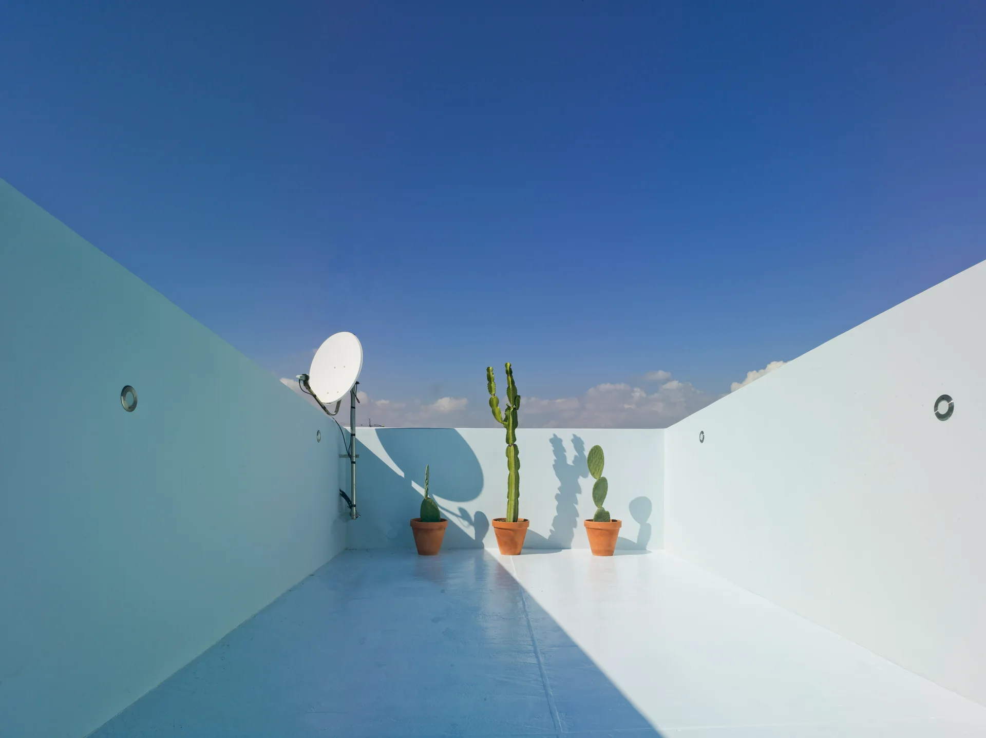 A minimalist white rooftop terrace features three potted cacti in terracotta pots under a clear blue sky.