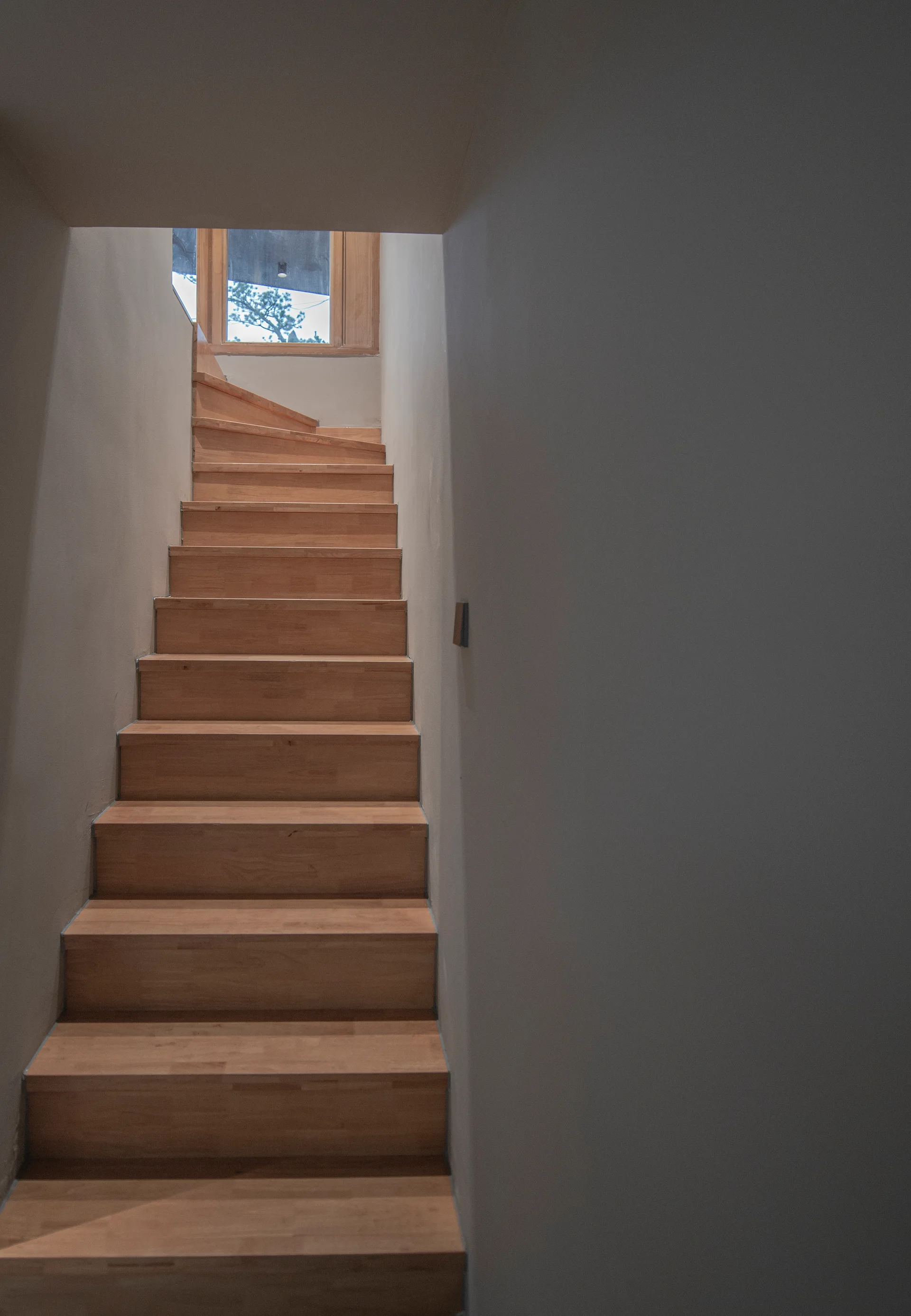 A minimalist wooden staircase with light oak steps rises between smooth grey plaster walls toward a window with a view of a tree.