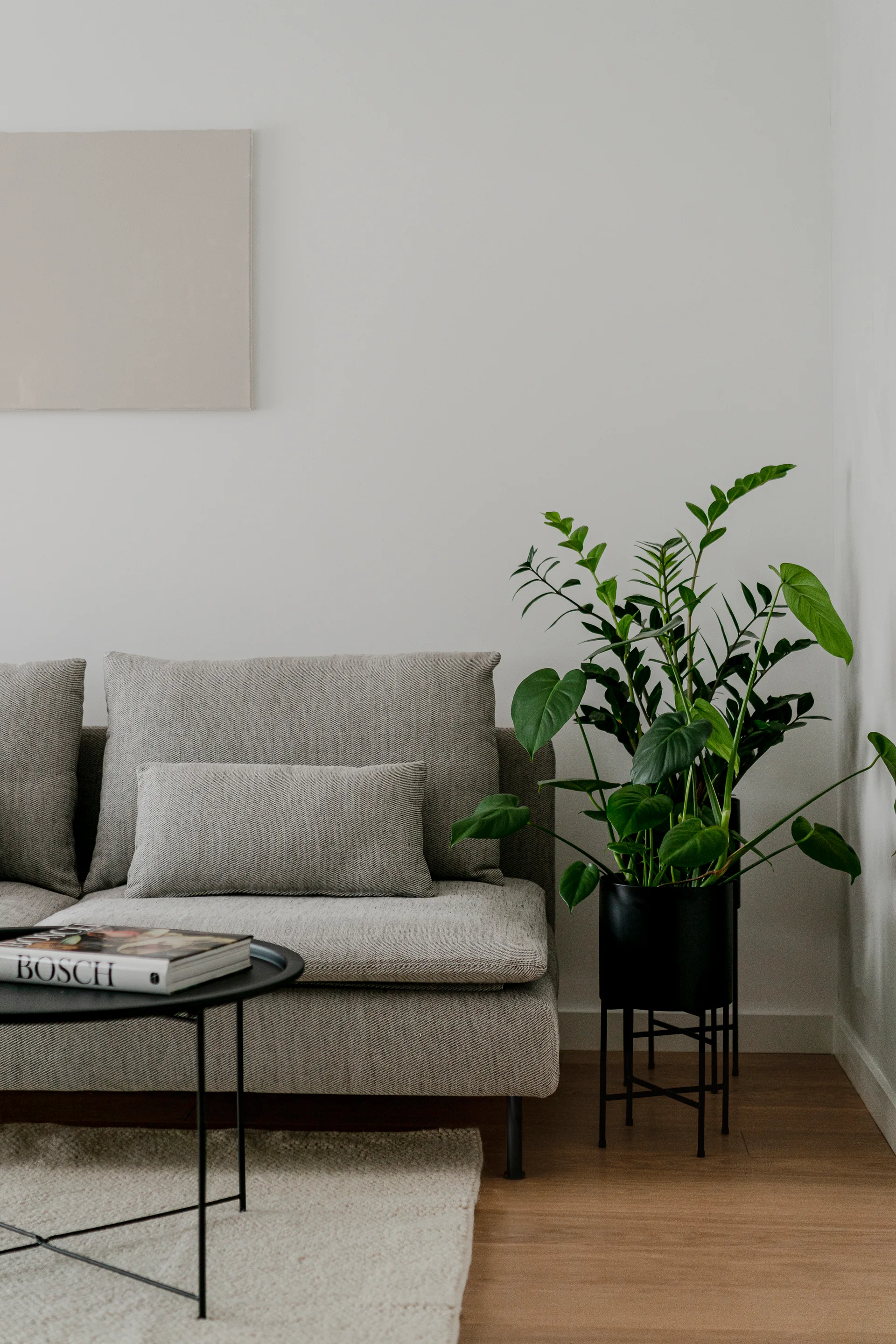 A grey upholstered sofa sits on a textured light rug next to a black metal stand holding a green leafy plant in a minimalist room.