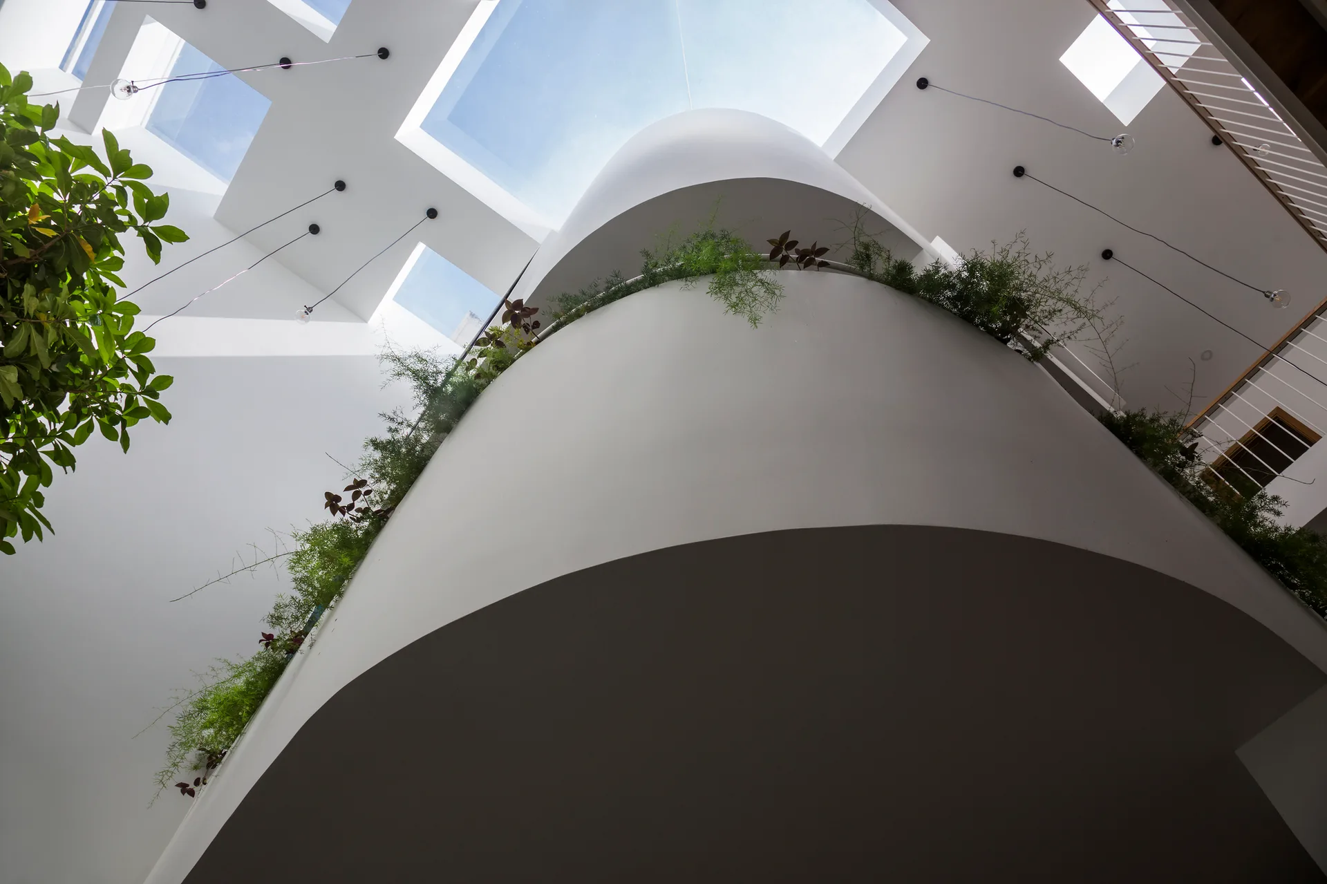 Looking up at a curved white staircase with green plants along the ledge and multiple square skylights in the ceiling above.