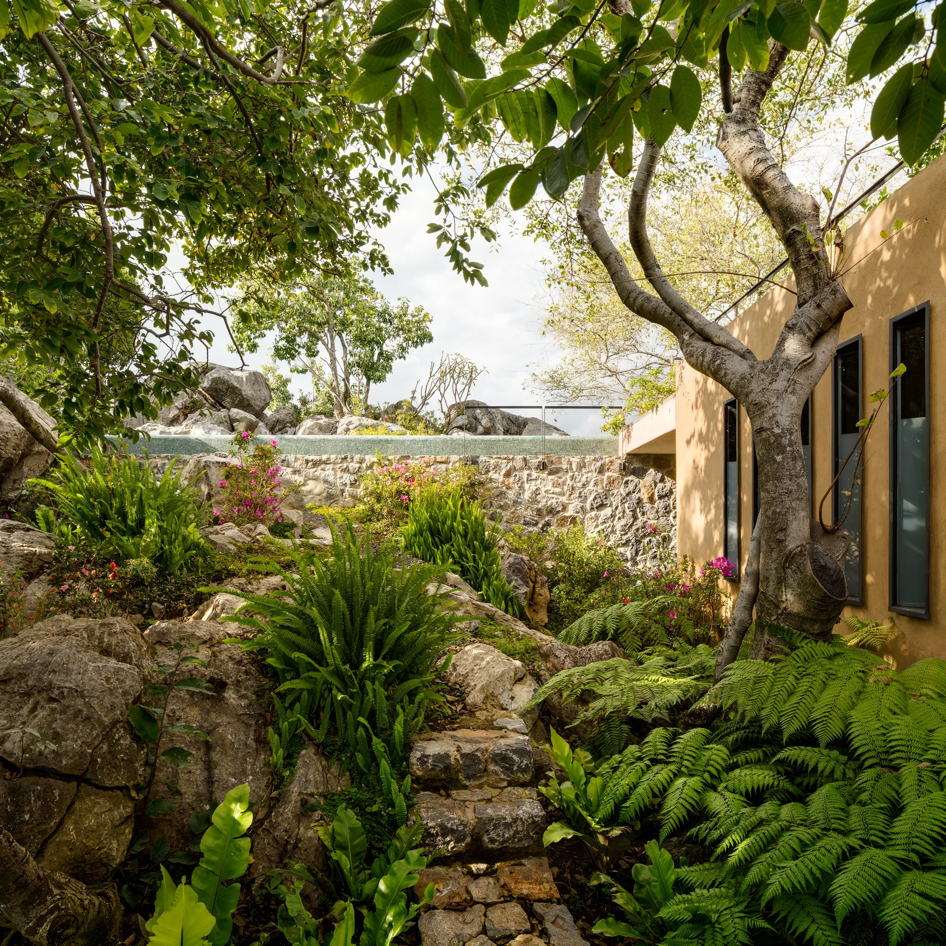 A stepped stone pathway winds through a lush rock garden of ferns and boulders next to a tan stucco building.