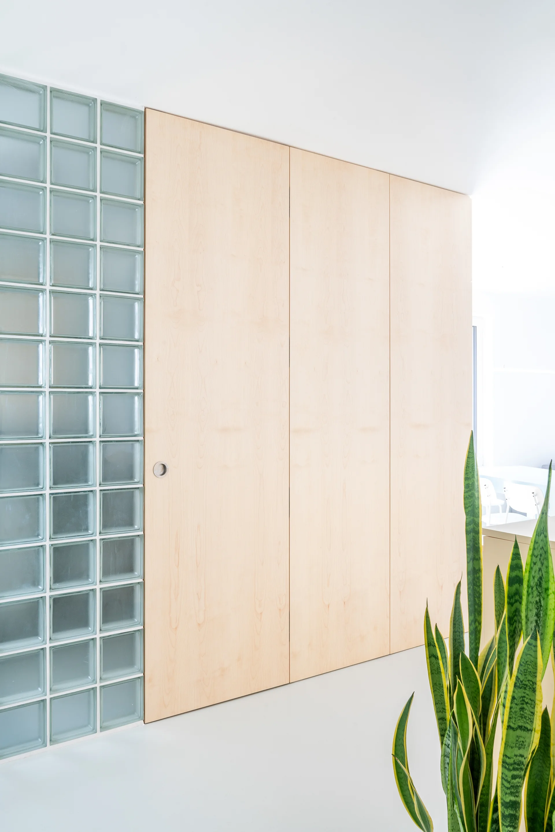 A column of frosted glass blocks sits adjacent to flush, light-colored wood cabinet doors in a minimalist interior space next to a snake plant.