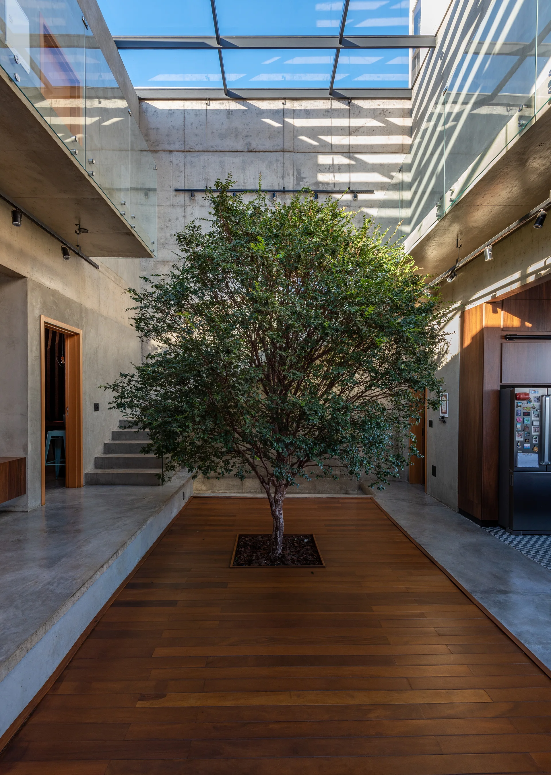 A modern indoor courtyard features a large green tree growing through a wood plank floor surrounded by concrete walls and a glass skylight.