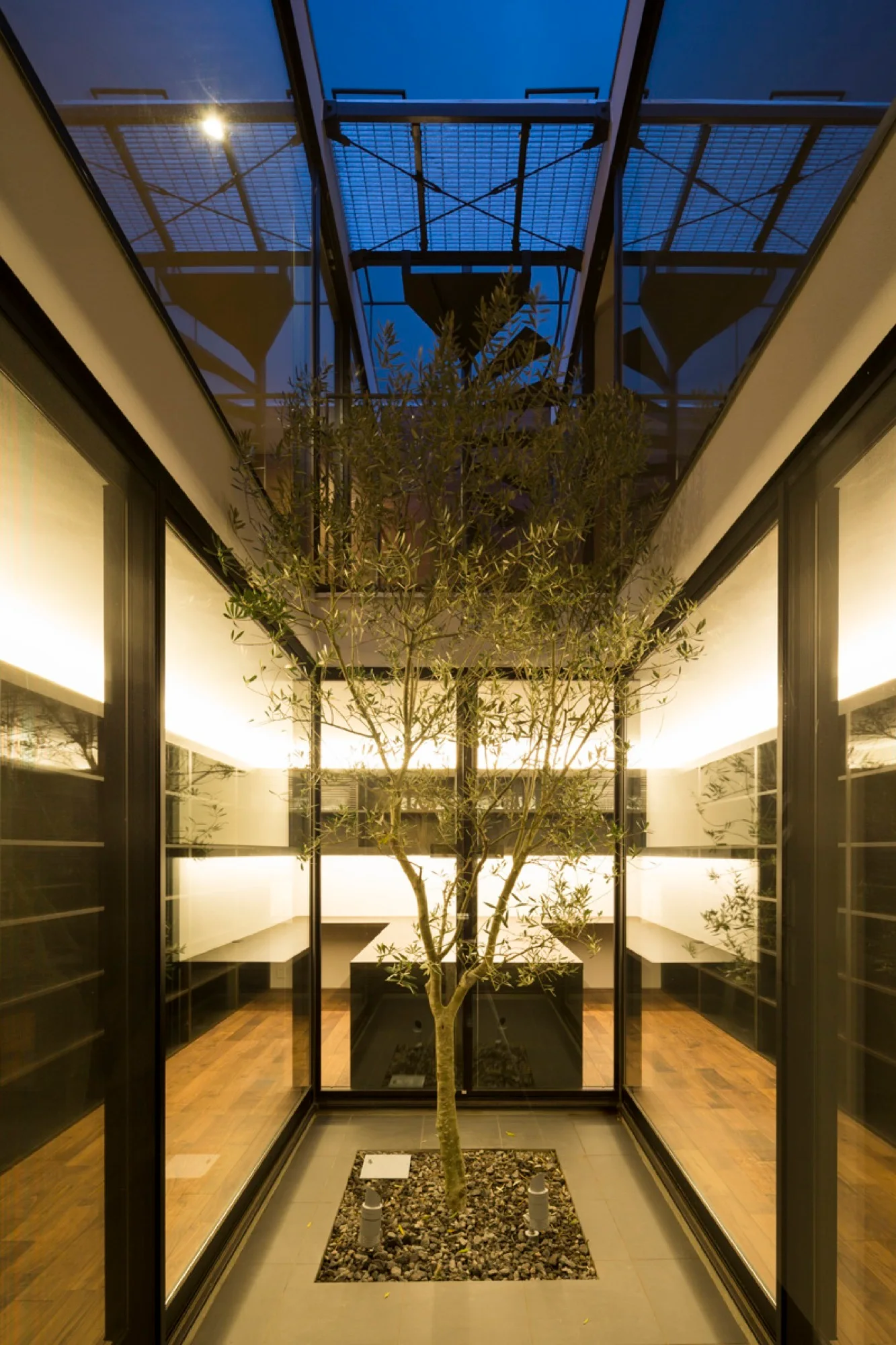 An indoor glass-walled courtyard showcases a young tree in a gravel pit surrounded by glowing backlit shelving and wood flooring.