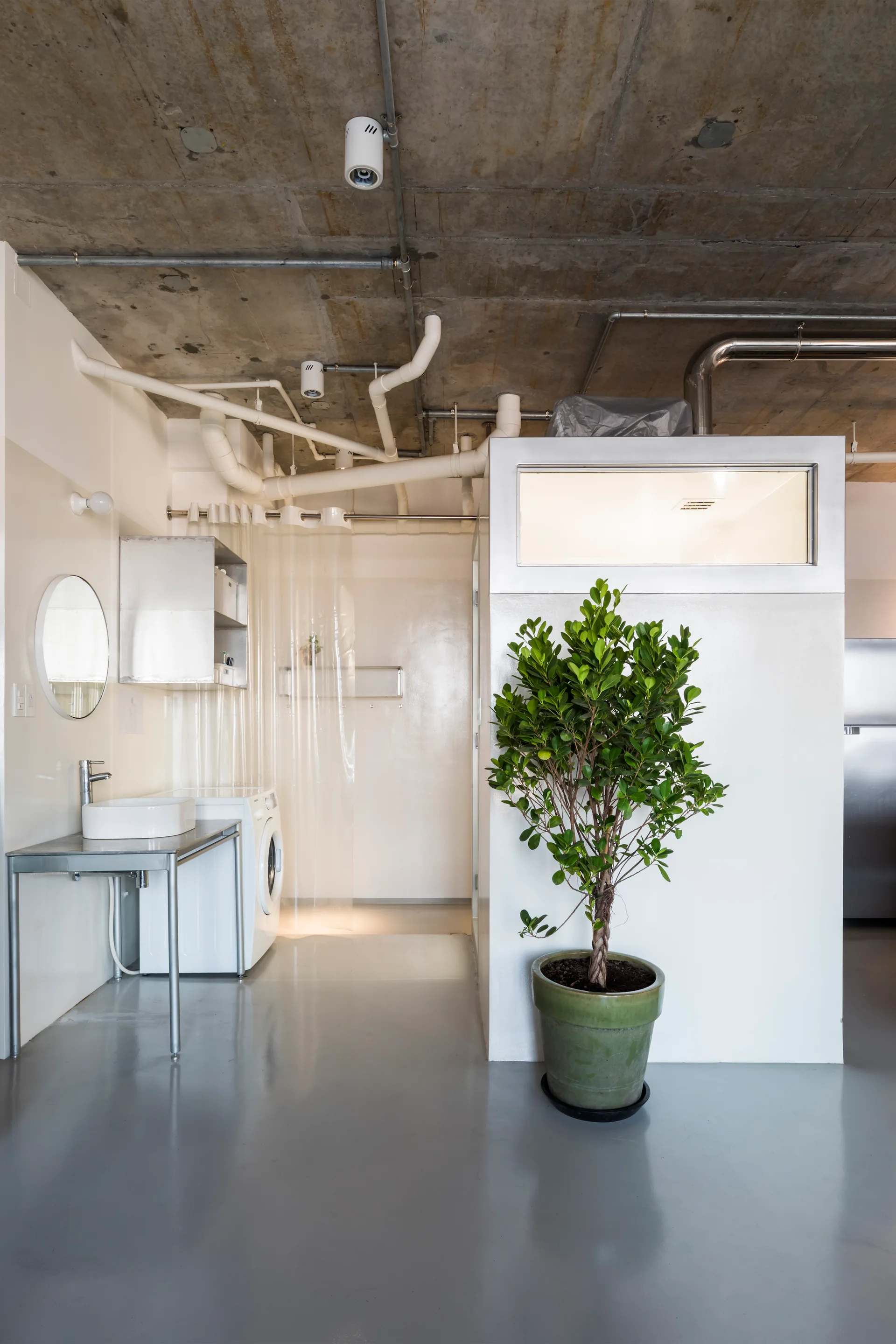 An industrial utility laundry room featuring a washing machine, utility sink, raw concrete ceiling with exposed pipes, and a large green potted plant.