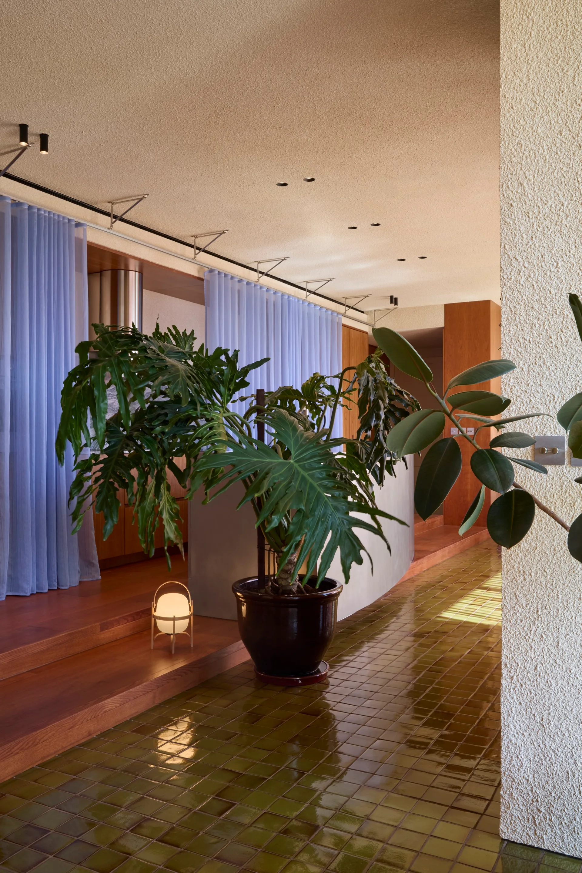 An interior space with a glossy green tile floor, a raised wooden platform, sheer blue curtains, and a large potted plant.