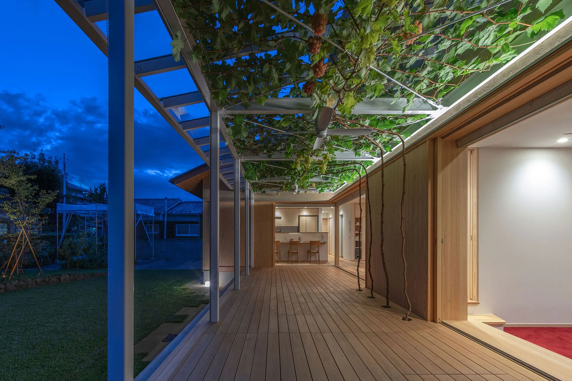 A long wooden deck at dusk with a white metal trellis covered in leafy grapevines, leading to an illuminated interior room.