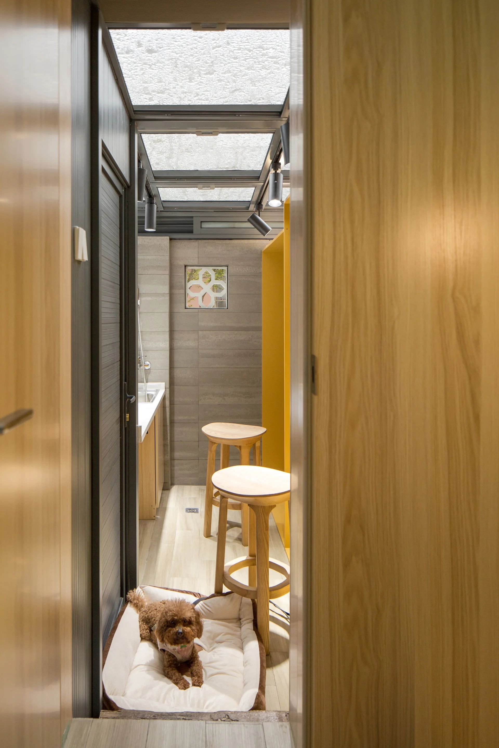 A narrow interior corridor viewed through a doorway, featuring a glass skylight, two round wooden stools, and a small dog resting on a pet bed.