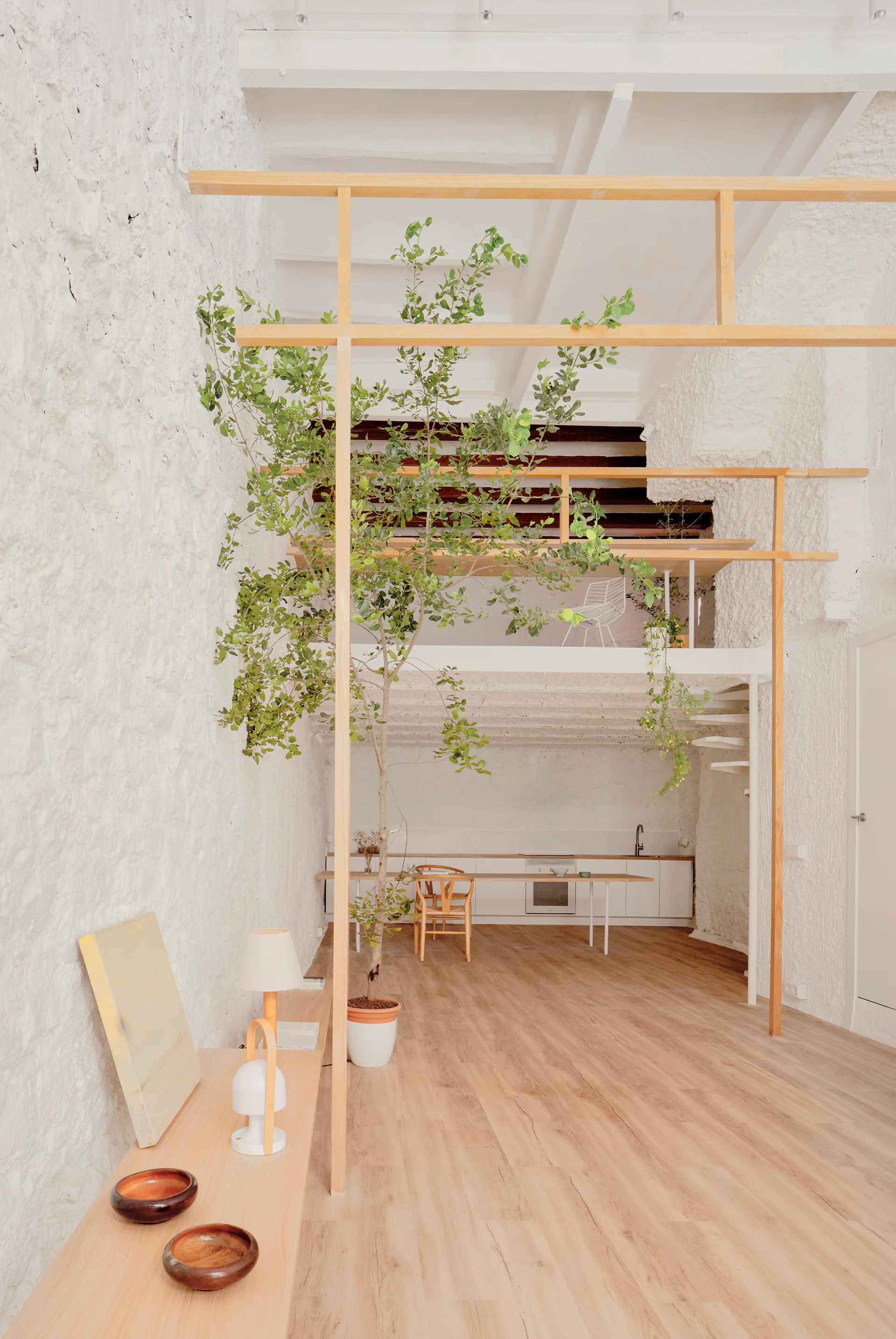 A minimalist white loft features a tall green potted tree, textured plaster walls, and a light wood mezzanine structure.