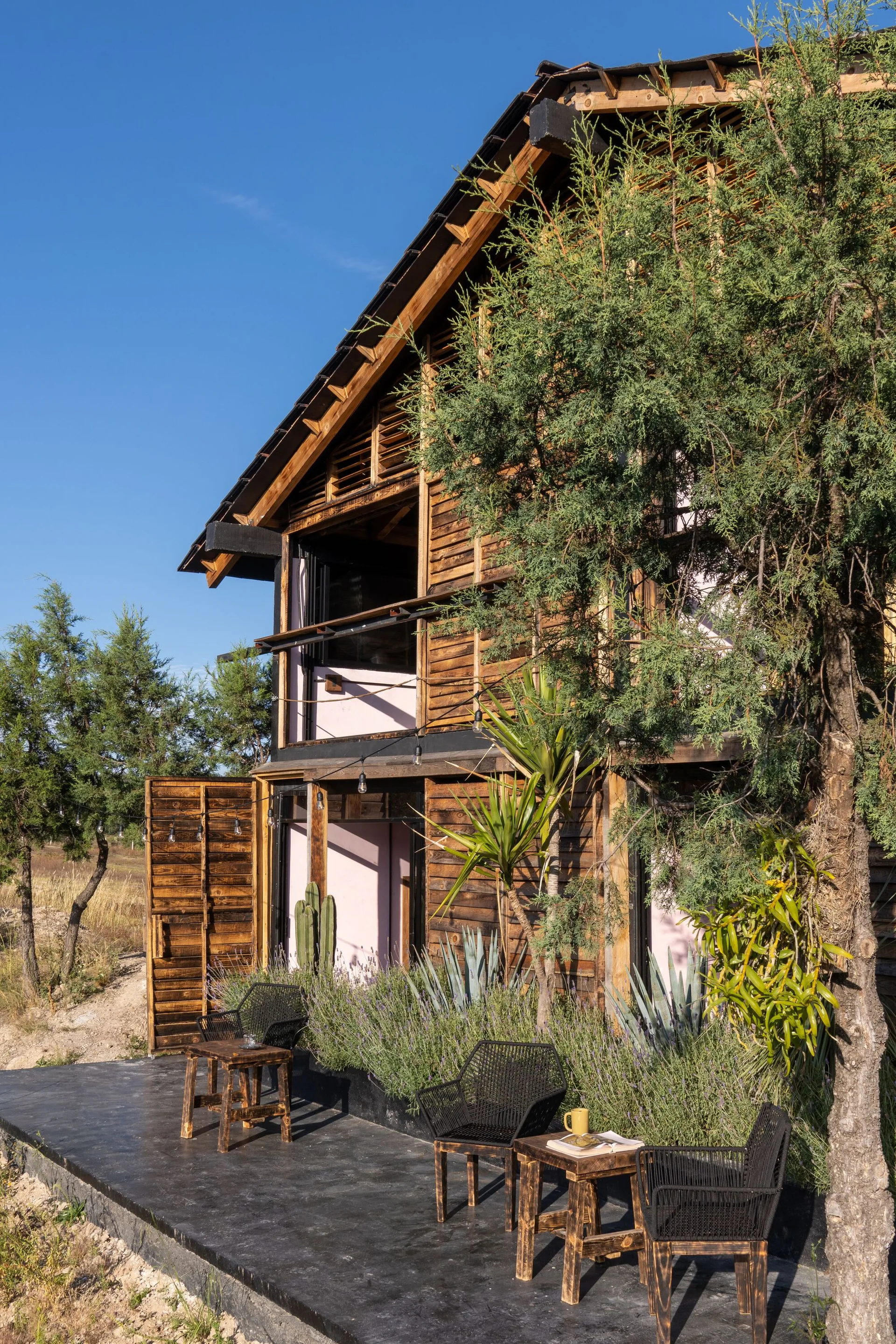 Black wicker chairs and small wood tables sit on a dark paved terrace next to a wooden cabin surrounded by lavender and green trees.
