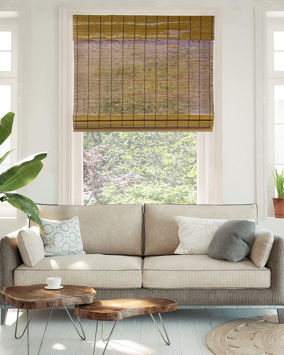 A bright living room features a striped neutral sofa in front of a window with woven bamboo blinds and two organic live-edge wood coffee tables.