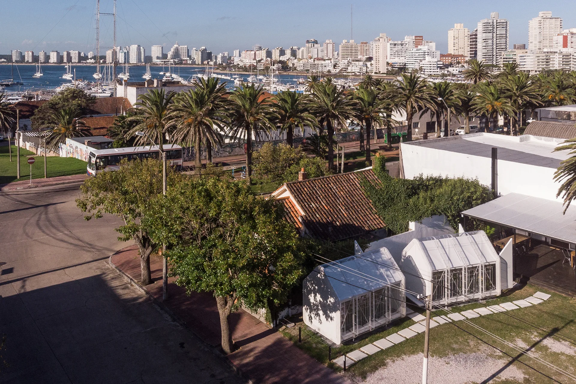 Aerial view of a coastal yard with two small white greenhouses, palm trees, and a distant city skyline overlooking a harbor.