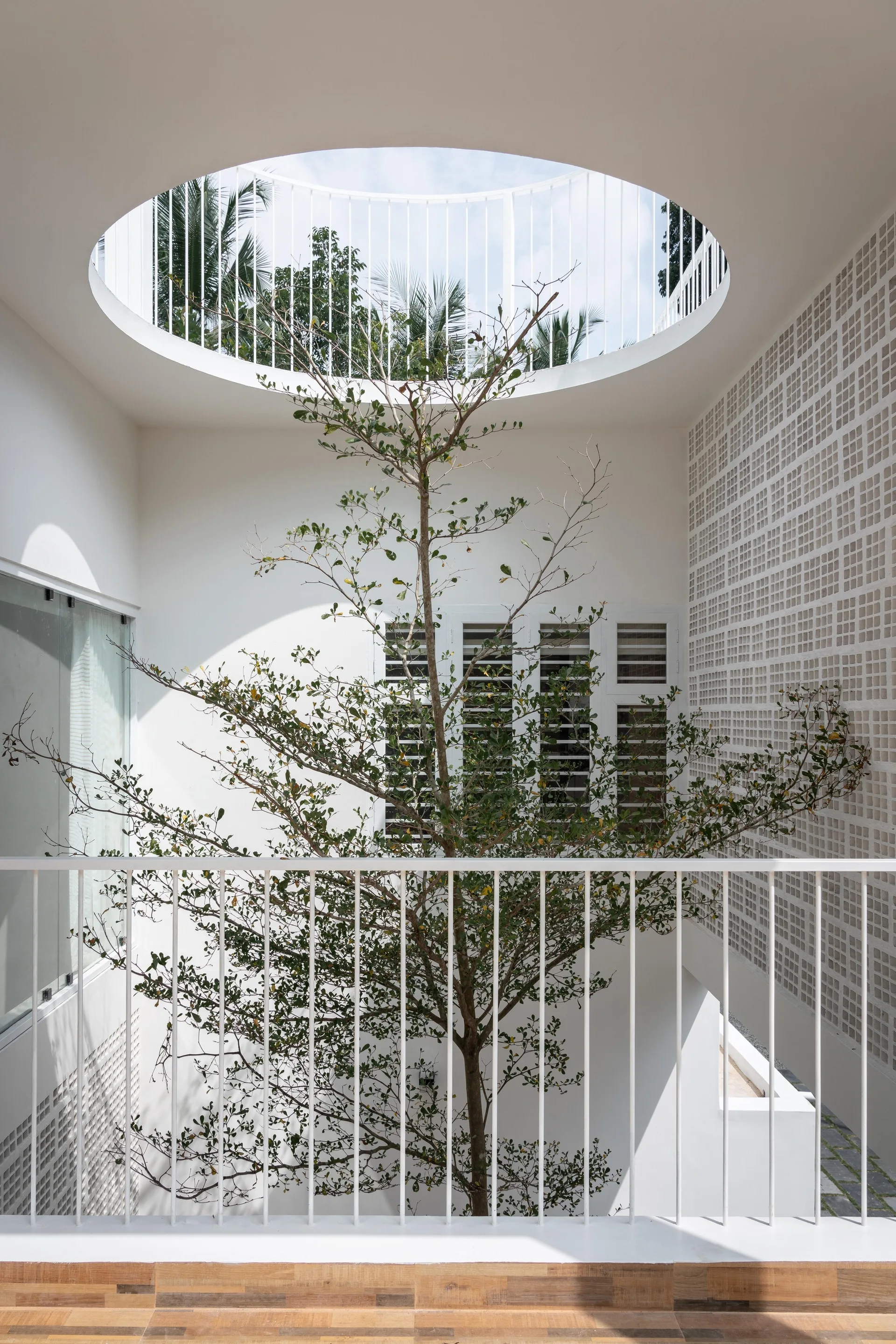 A bright white minimalist courtyard features a tall central tree growing toward a large circular ceiling opening surrounded by a metal railing.
