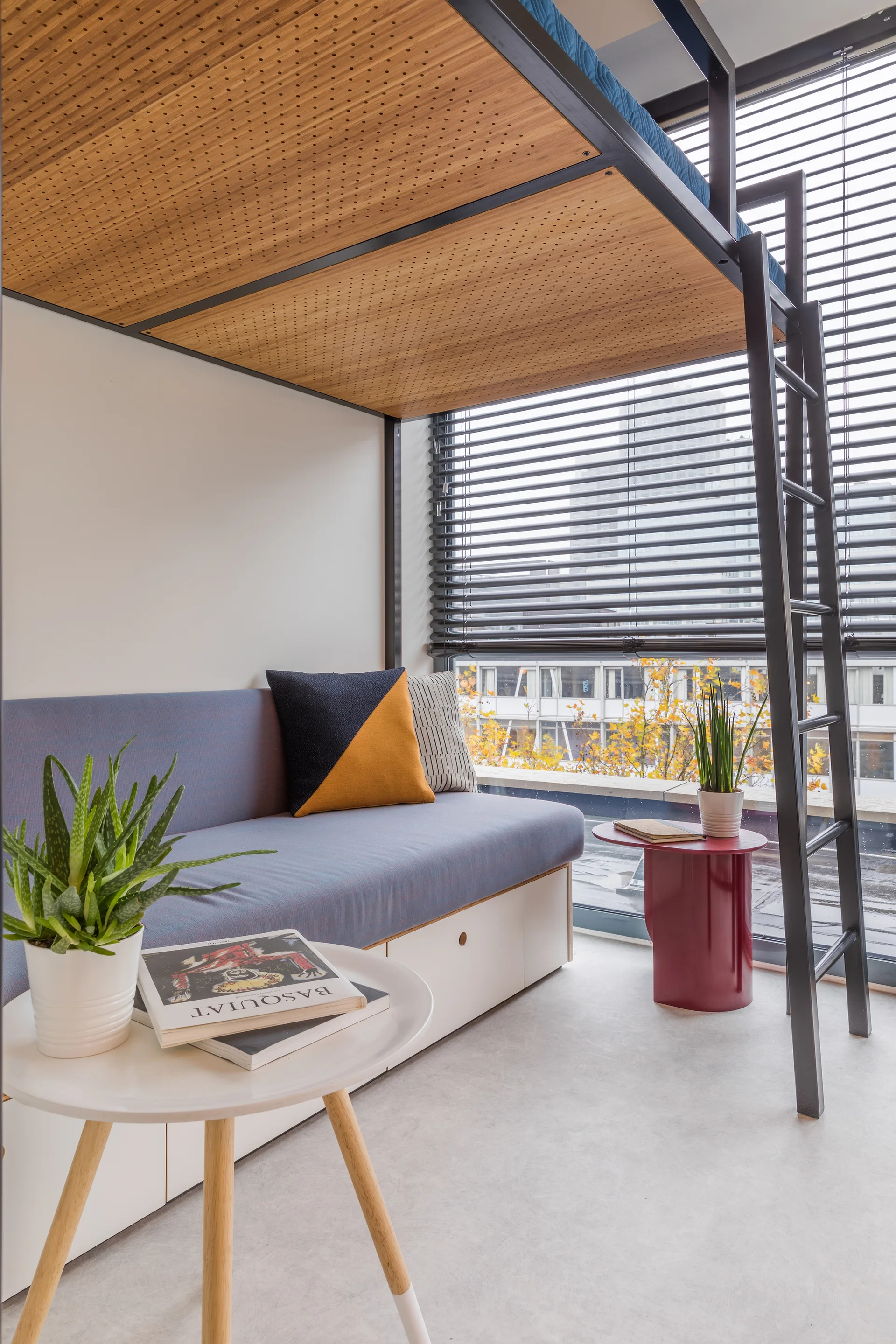 A light grey room featuring a blue sofa with white storage drawers underneath a black metal loft bed, alongside a ladder and large window.