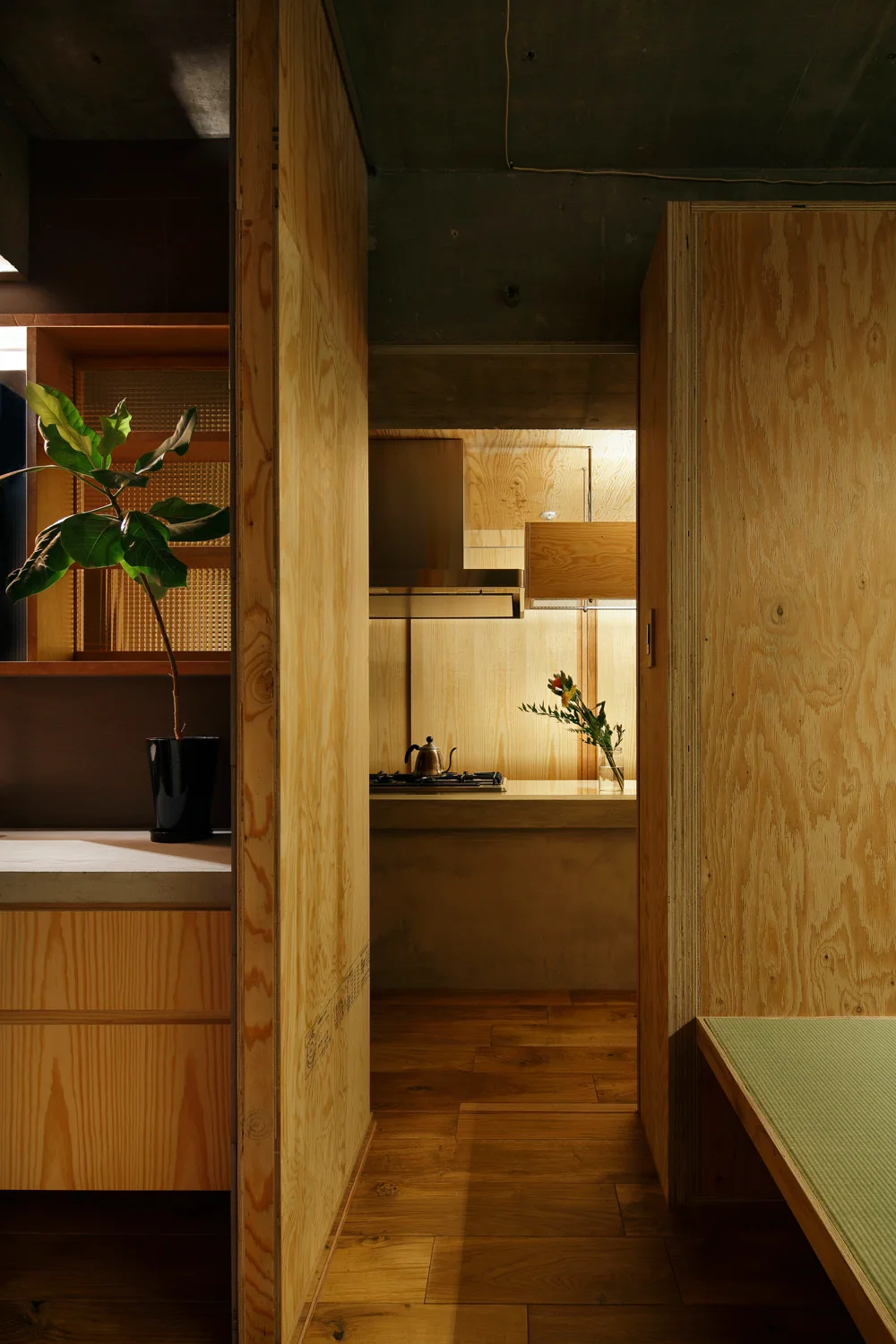 A minimalist kitchen framed by plywood partition walls under a raw concrete ceiling, featuring a wood floor, tatami bench, and small potted plant.