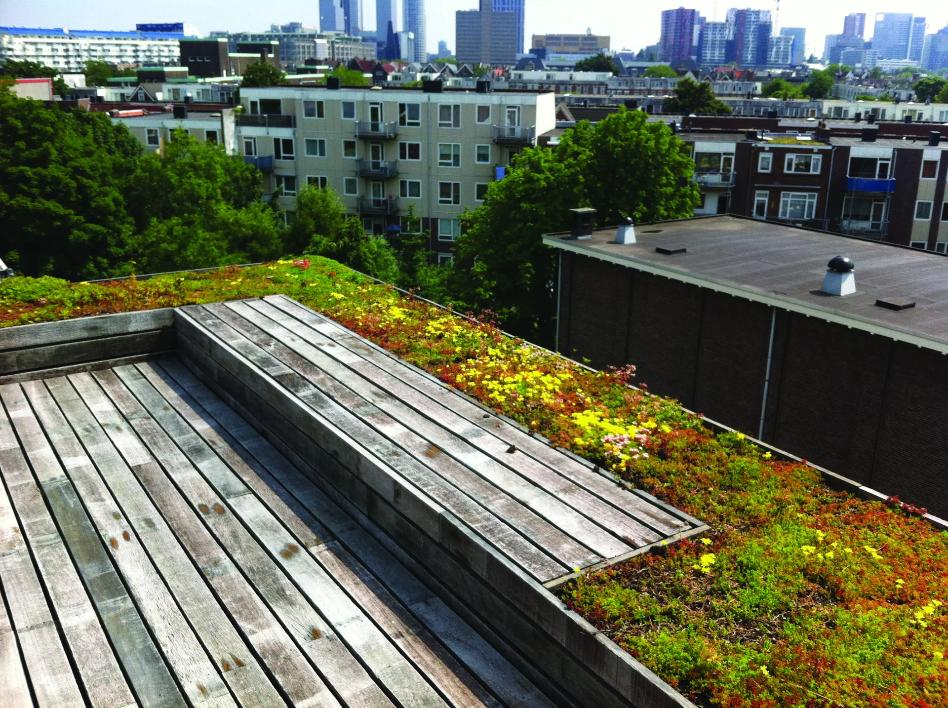 An elevated weathered wood terrace with an integrated bench and a lush sedum green roof overlooking a city skyline.