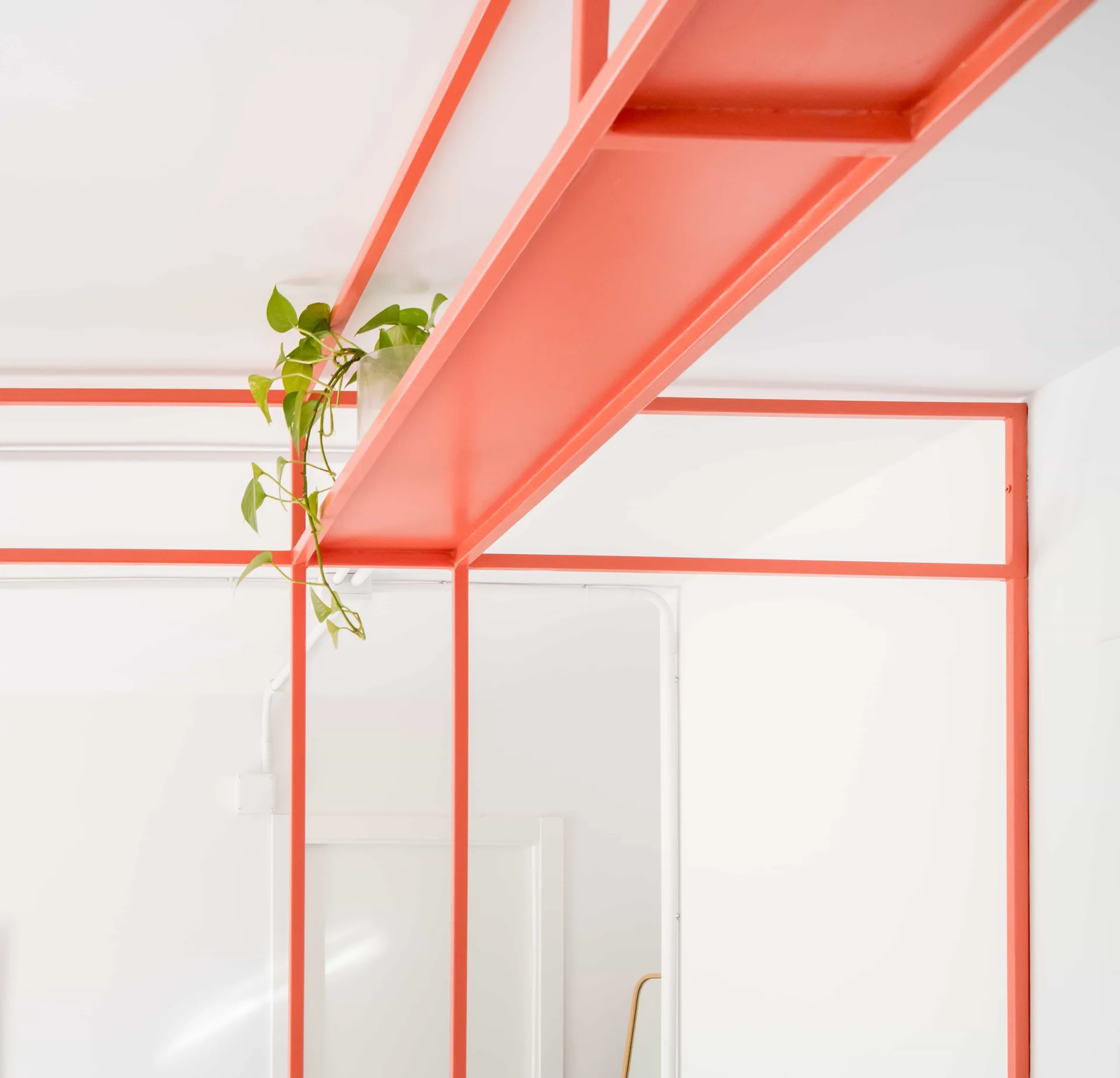 A structural coral-red metal shelving framework with a trailing green plant against a clean white wall and ceiling.