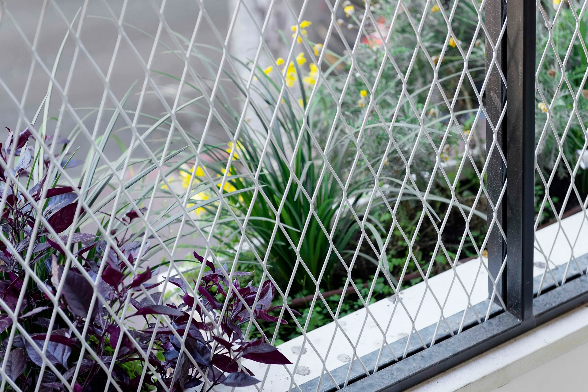 A close-up view of a white metal diamond mesh screen positioned in front of a balcony planter box filled with green and purple foliage.